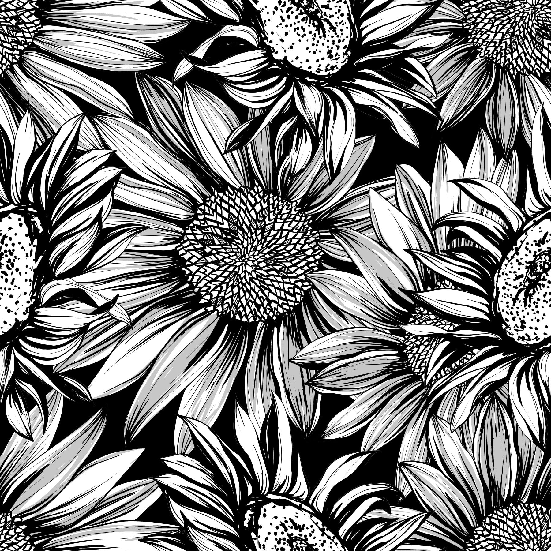 Monochrome Sunflower Sketch Bloom Wallpaper⁠