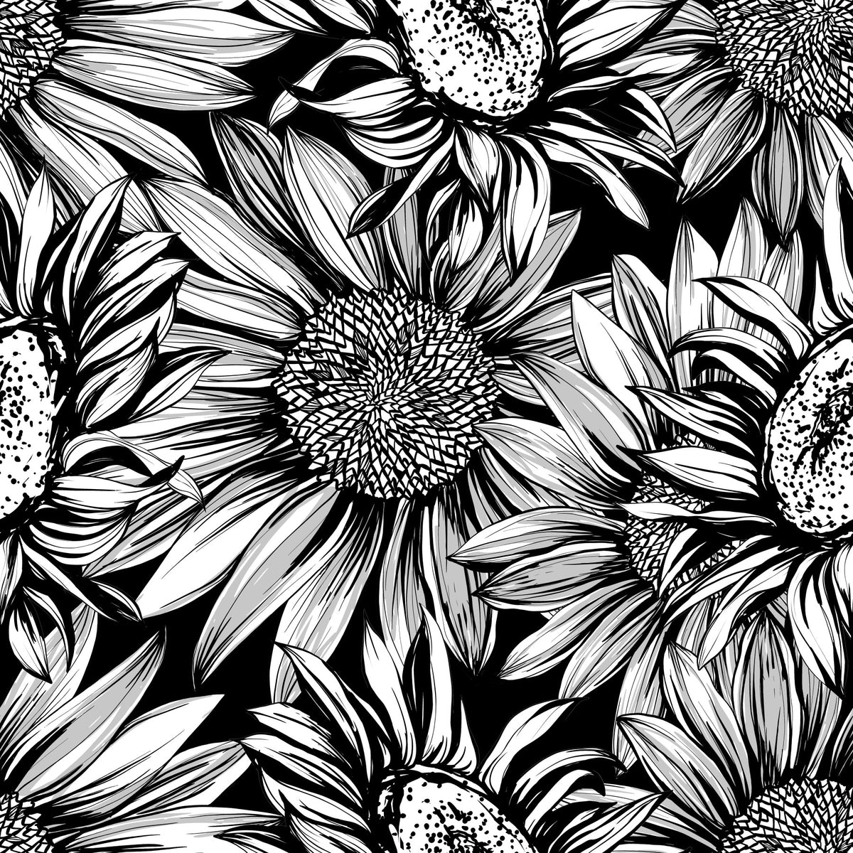 Monochrome Sunflower Sketch Bloom Wallpaper⁠ in your room