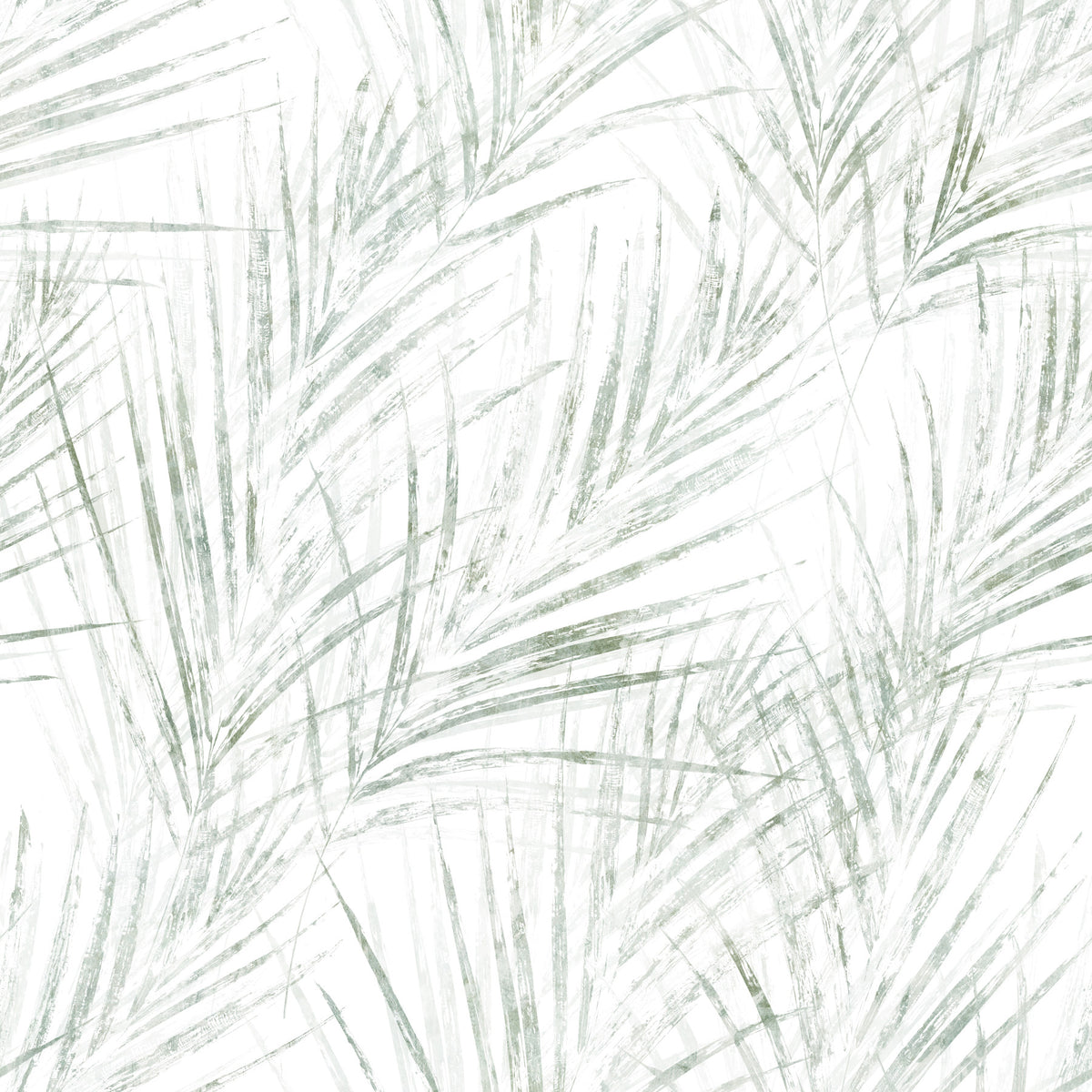 Sage Palm Botanical Sketch Wallpaper⁠ in your room