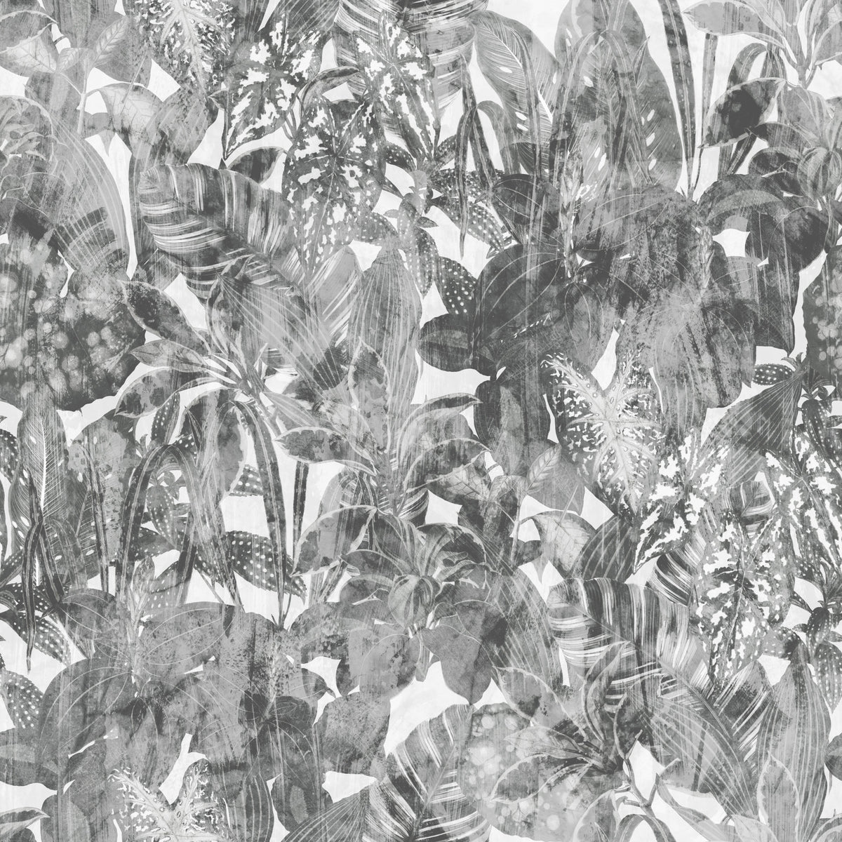 Monochrome Jungle Foliage Wallpaper⁠ in your room — zoomed