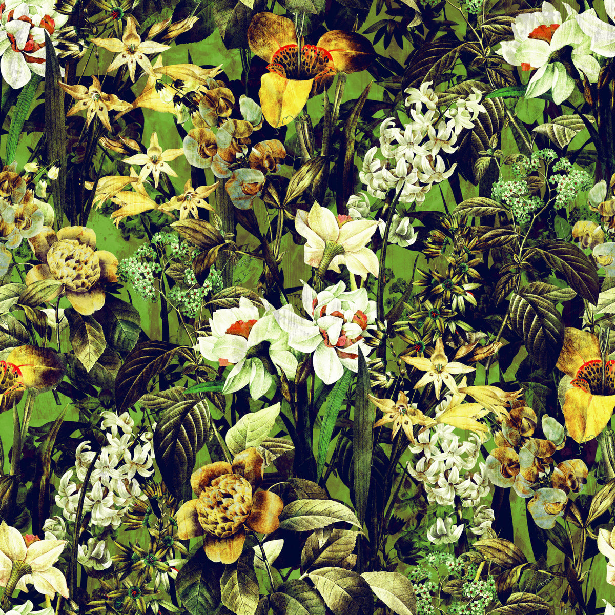 Rustic Botanical Forest Illustration Wallpaper⁠ in your room