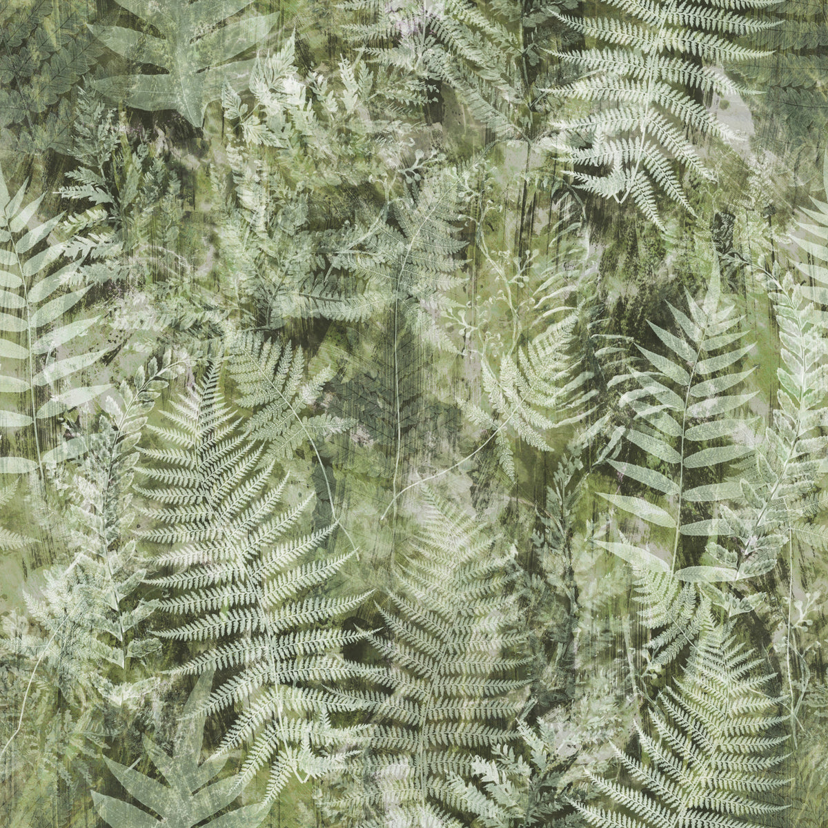 Forest Fern Botanical Print Wallpaper⁠