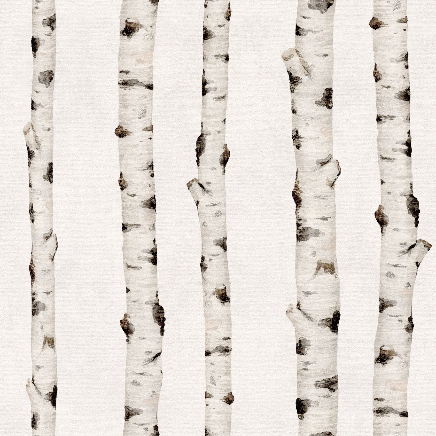 Rustic Birch Forest Vertical Trunks Wallpaper⁠