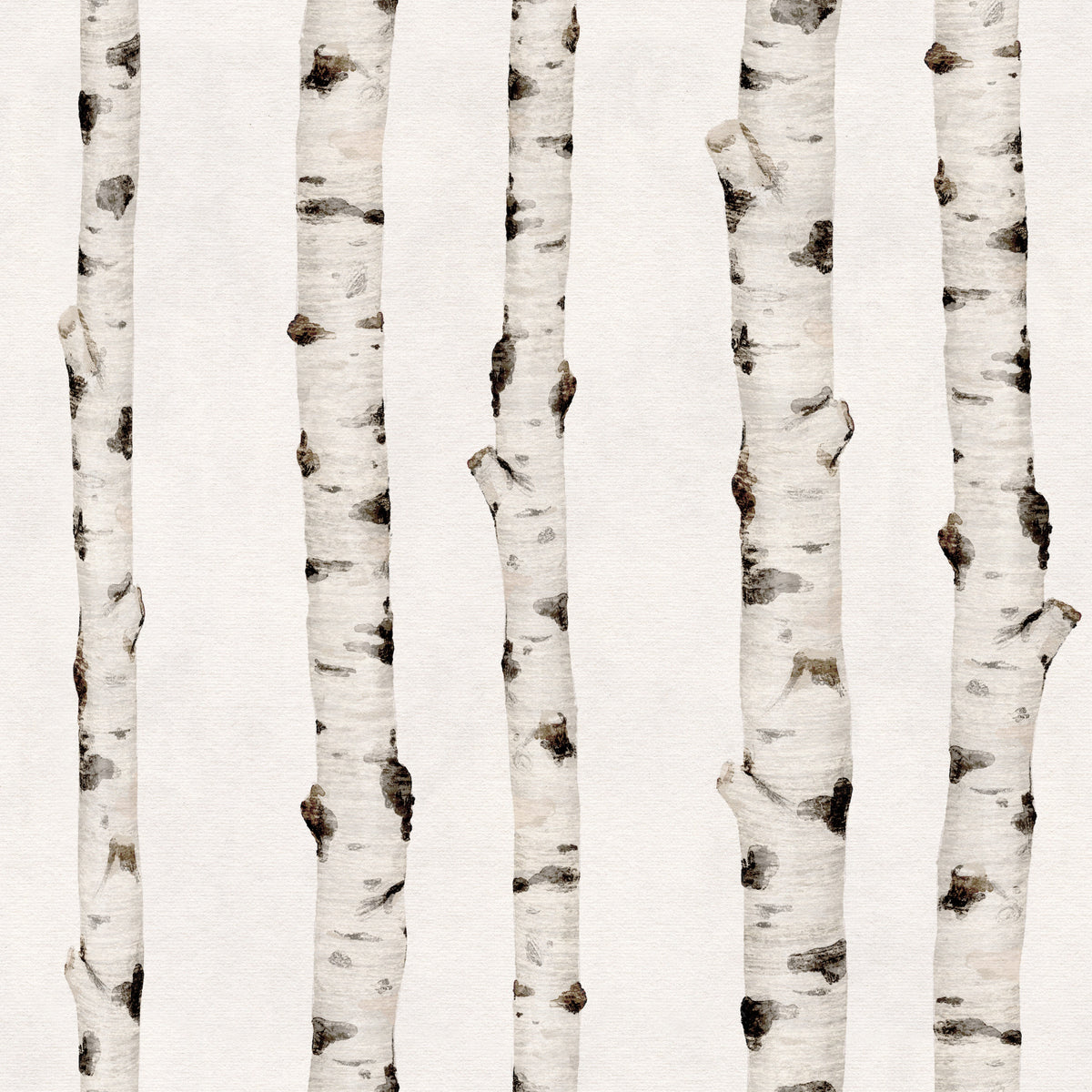 Rustic Birch Forest Vertical Trunks Wallpaper⁠ in your room