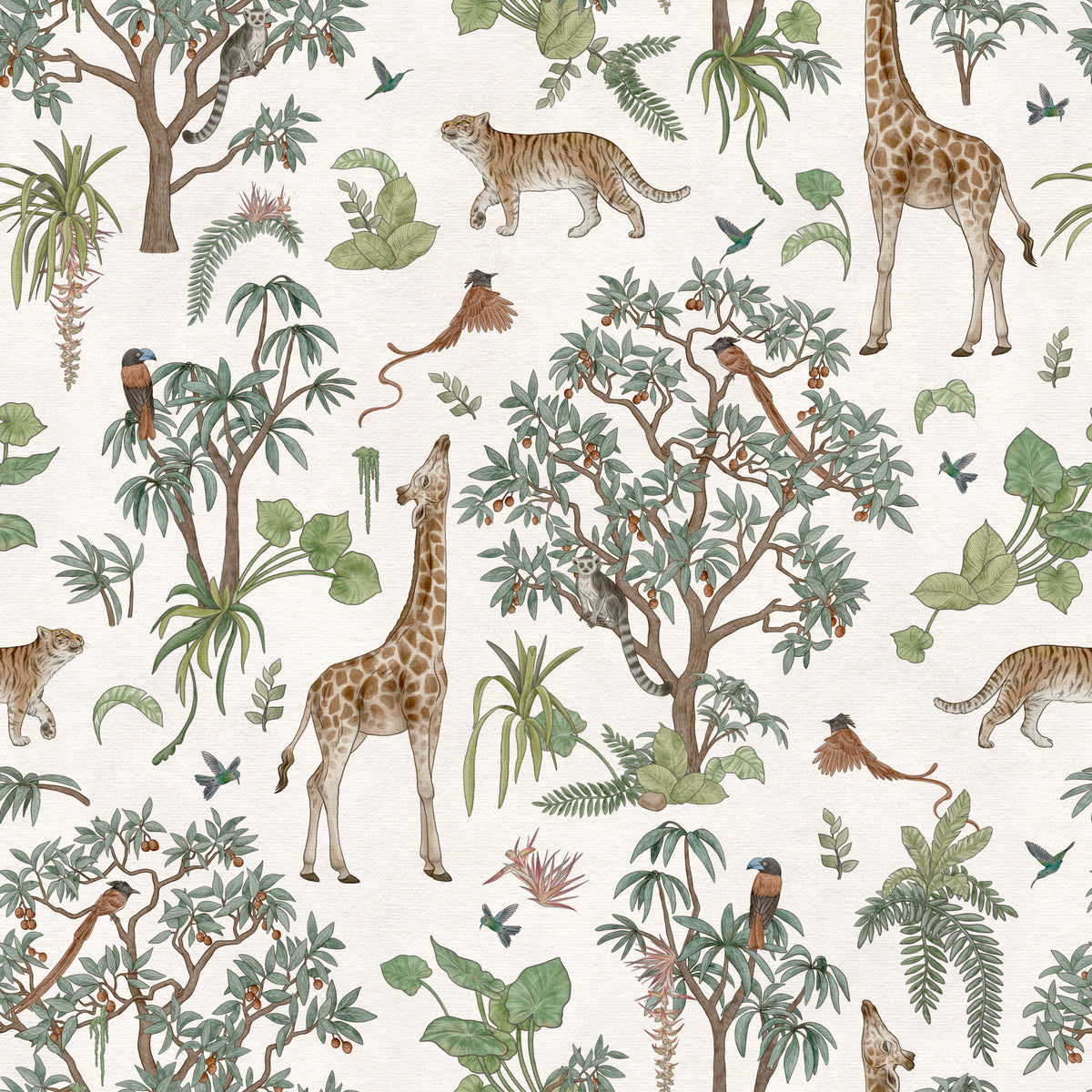 Exotic Wildlife Forest Trail Wallpaper⁠ in your room — zoomed