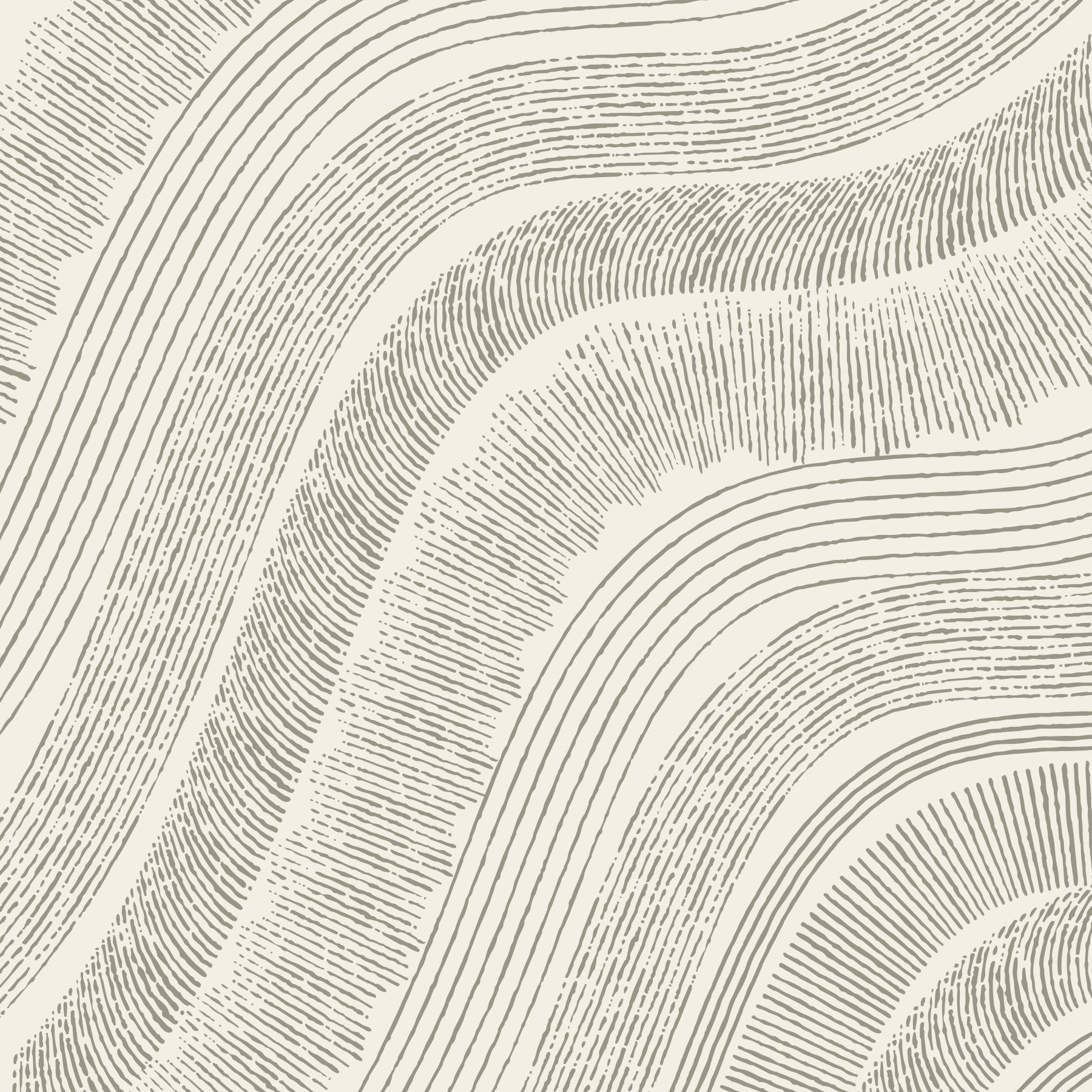 Minimalist Flowing Line Etching Wall Mural