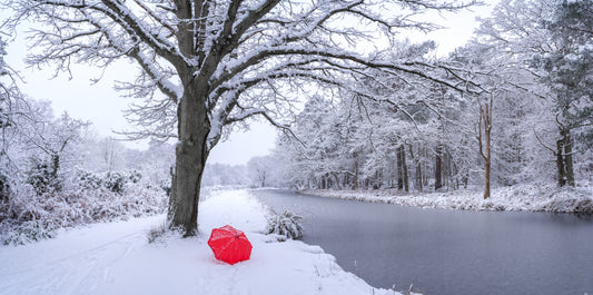 Frozen Canal Winter Wonderland Wall Mural