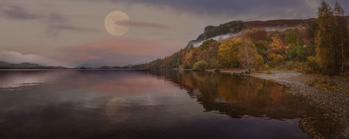 Ethereal Autumn Forest at Twilight Wall Mural in your room