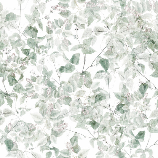 Ethereal Forest Vine Wallpaper⁠