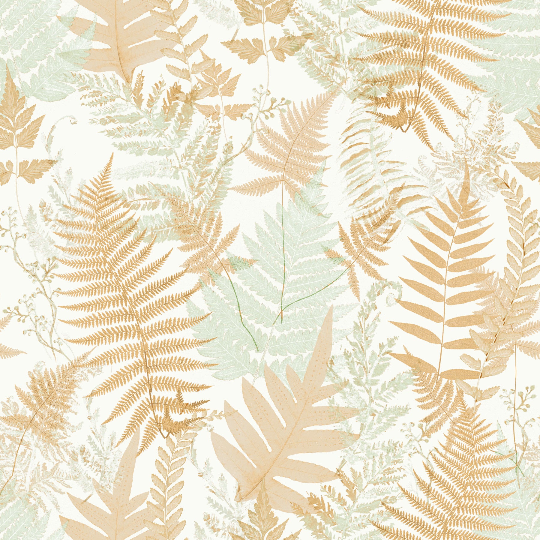Sun-Drenched Woodland Ferns Wallpaper⁠