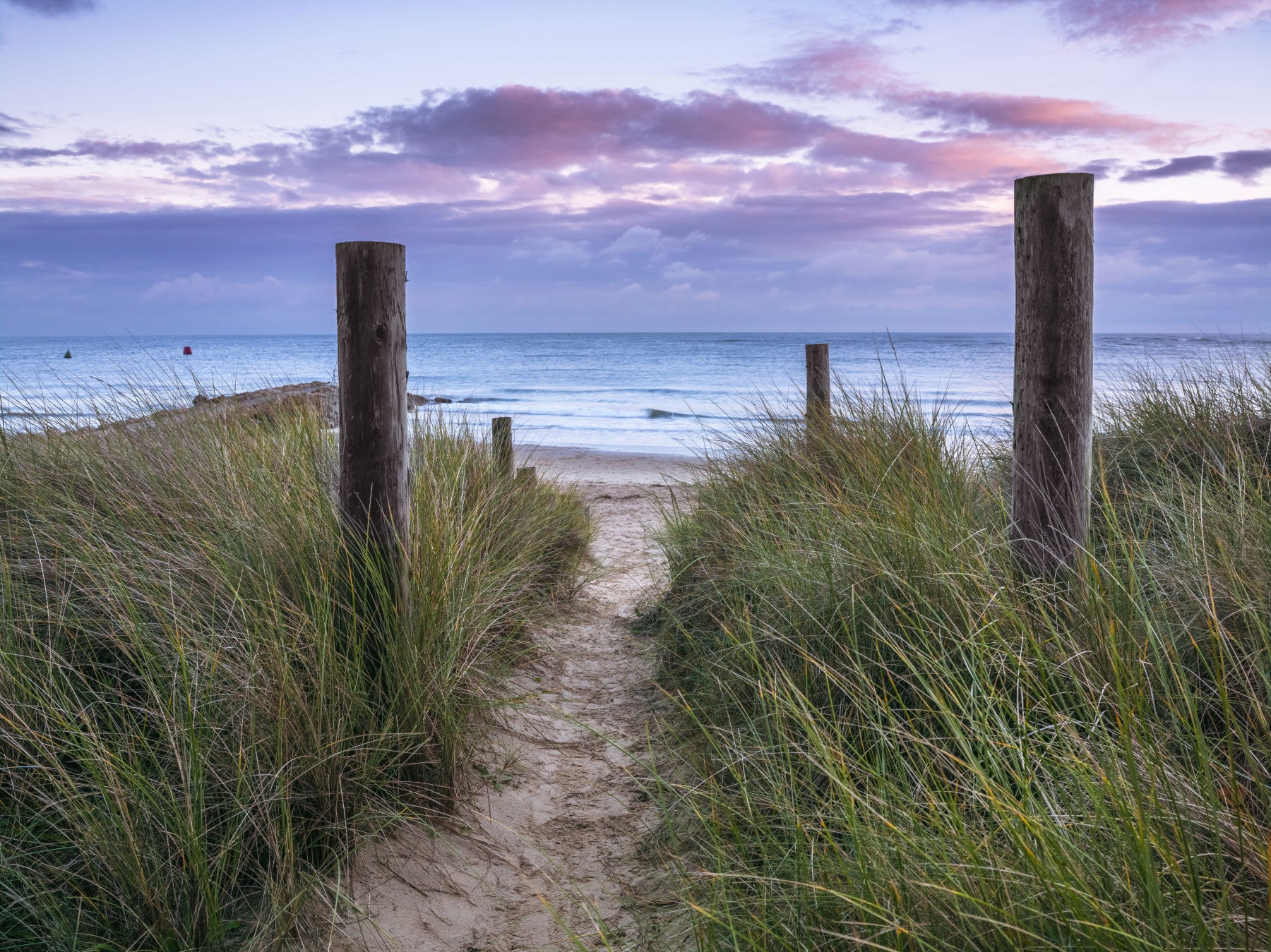 Coastal Grasses and Seascape Wall Mural