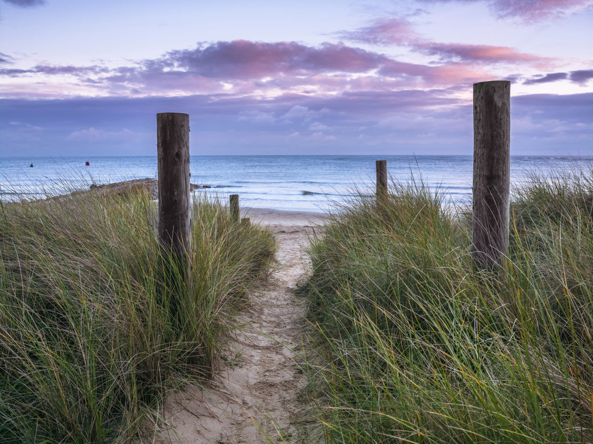 Coastal Grasses and Seascape Wall Mural