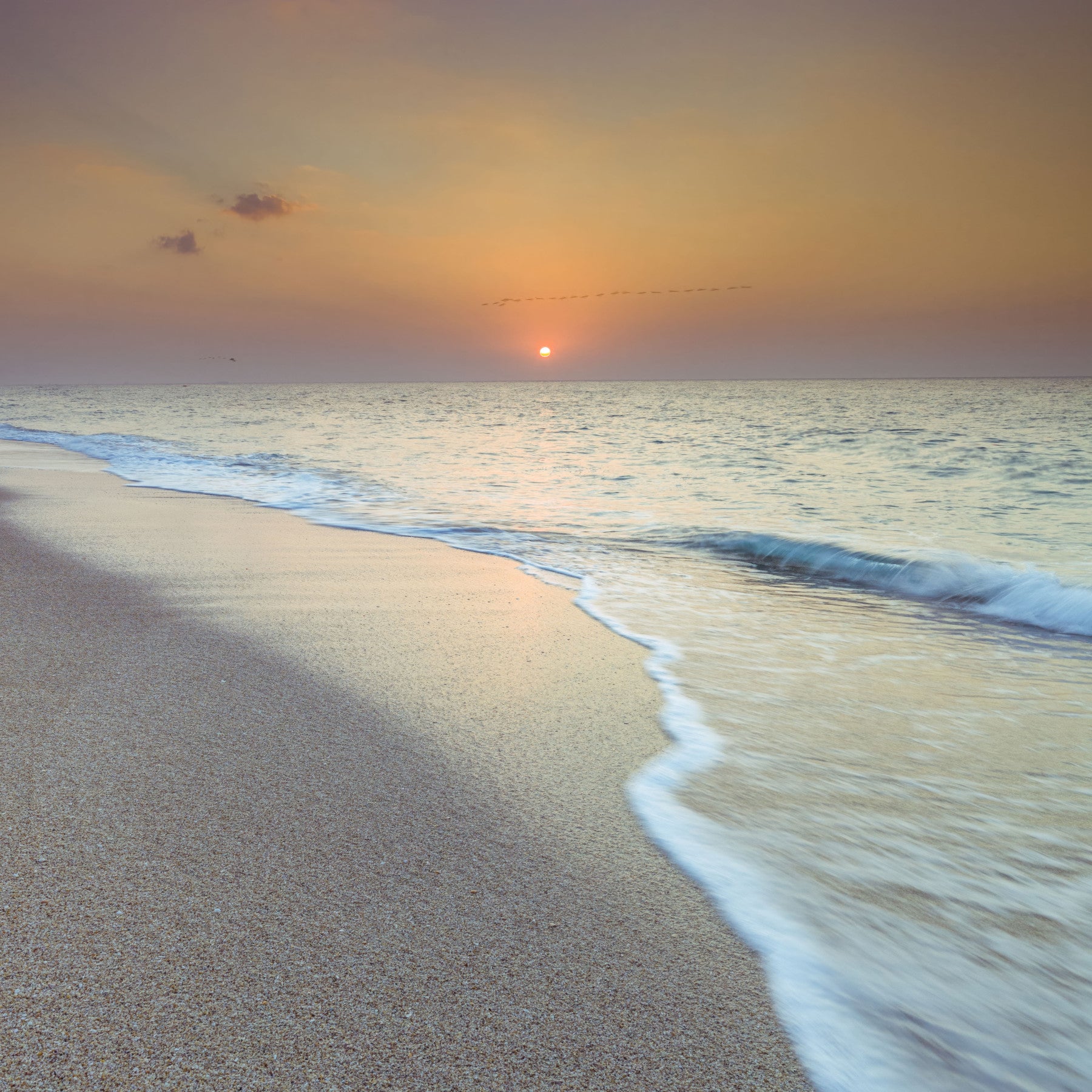 Golden Hour Coastal Hour Wall Mural