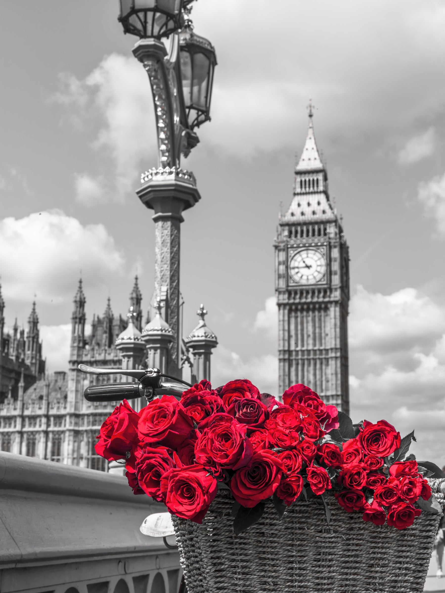 Crimson Blooms in Central London Wall Mural
