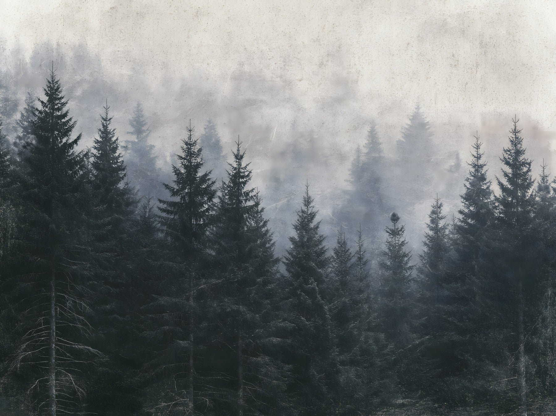 Atmospheric Evergreen Woodland Wall Mural