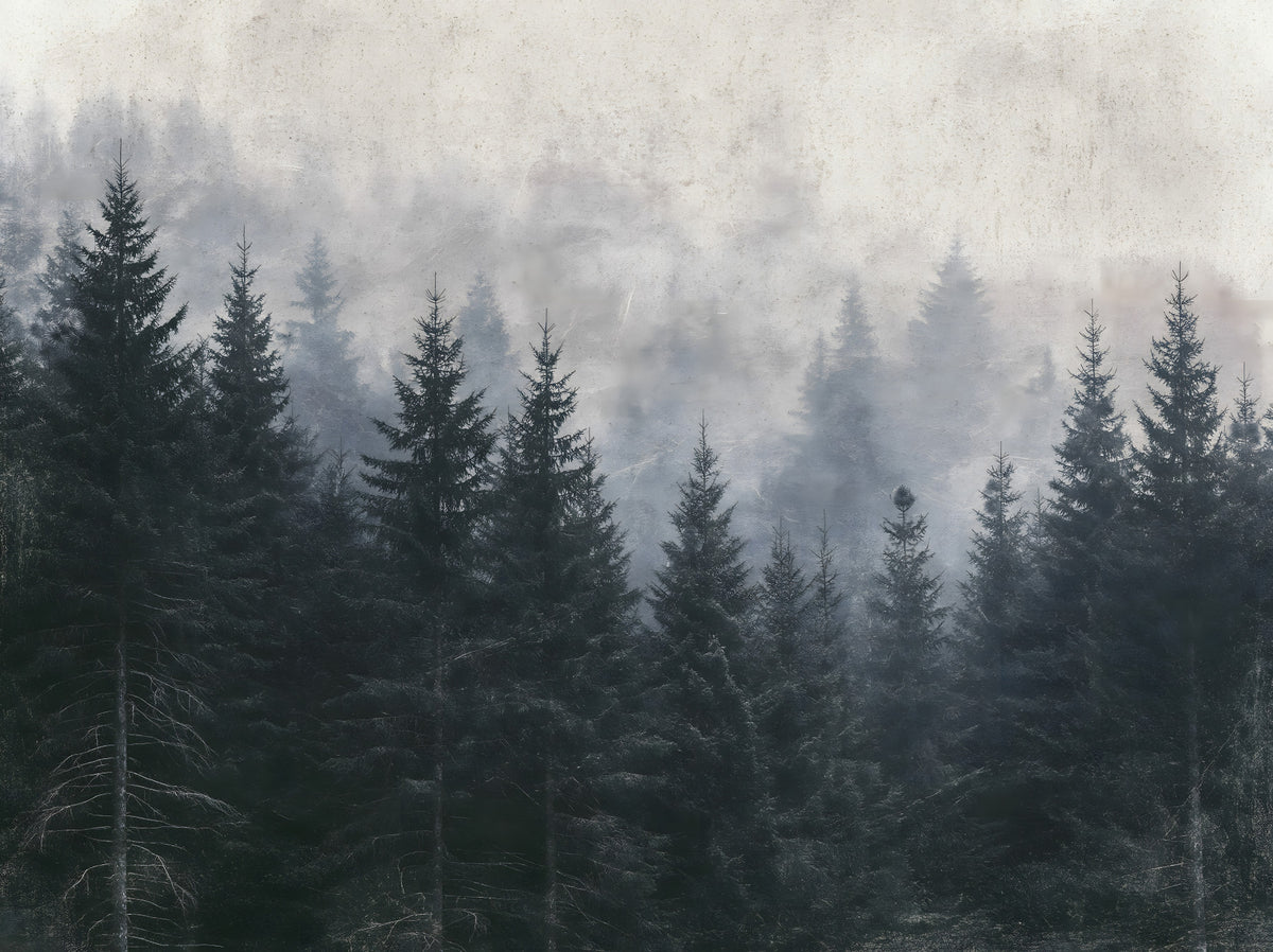 Atmospheric Evergreen Woodland Wall Mural in your room — zoomed