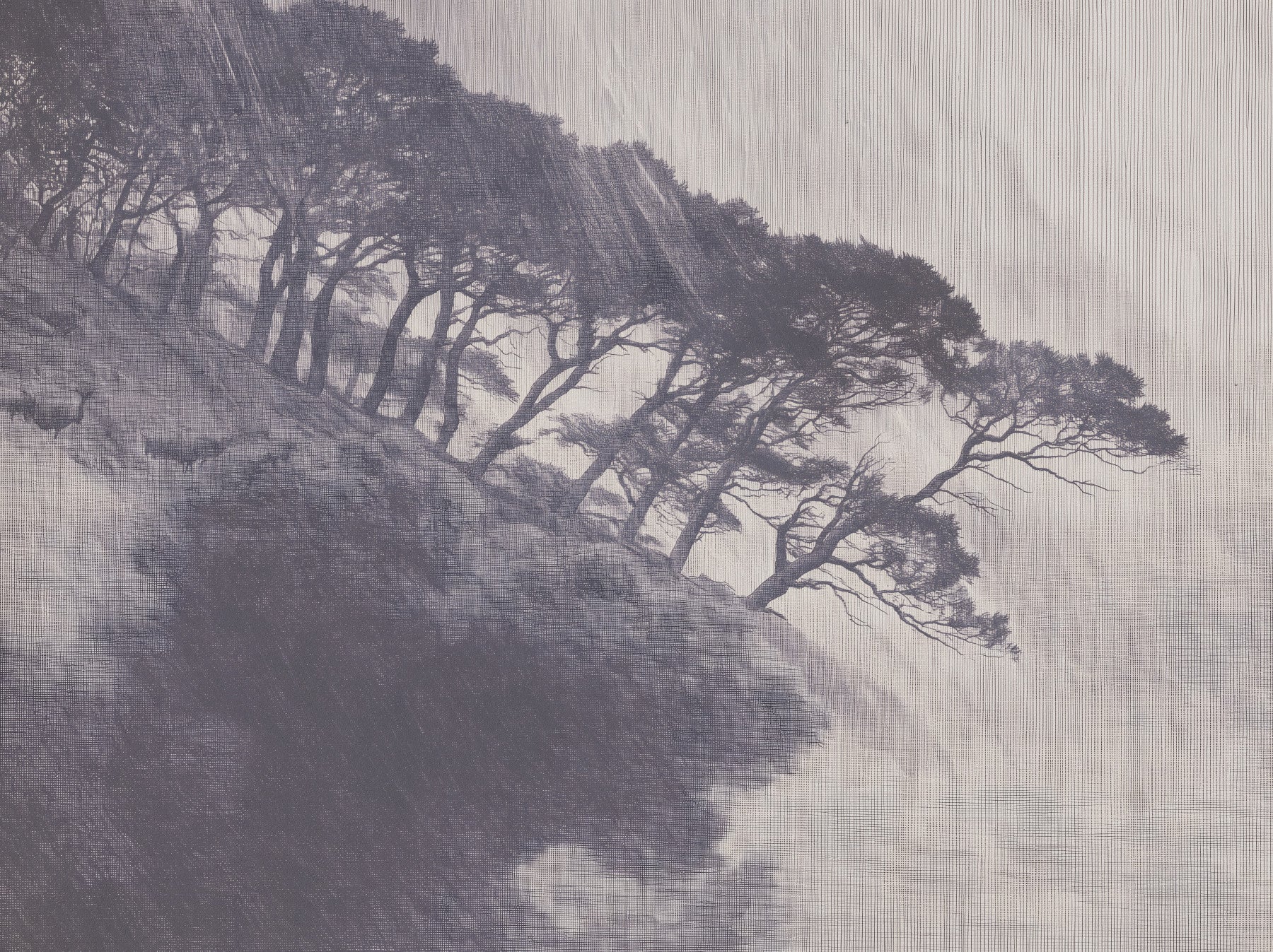 Monochrome Coastal Pines Landscape Wall Mural