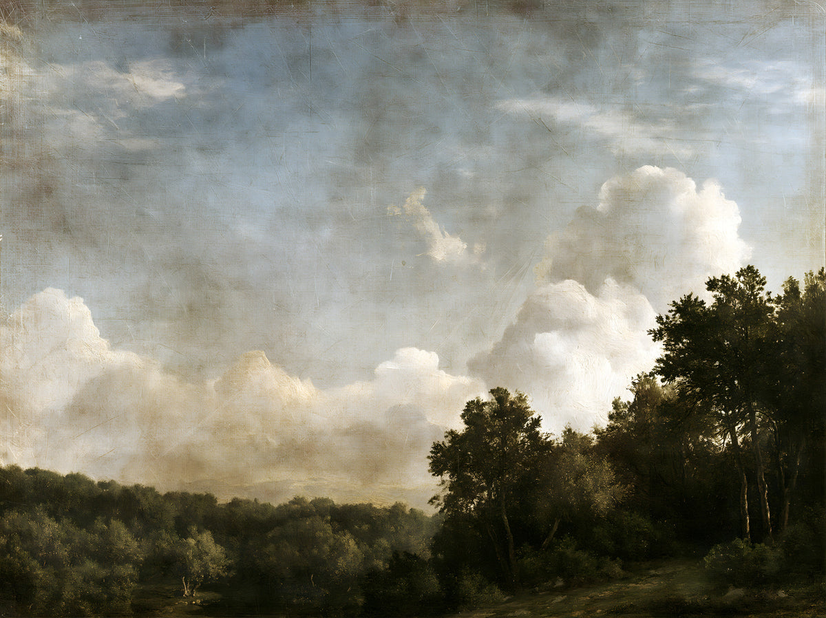 Moody Impressionist Horizon Vista Wall Mural in your room