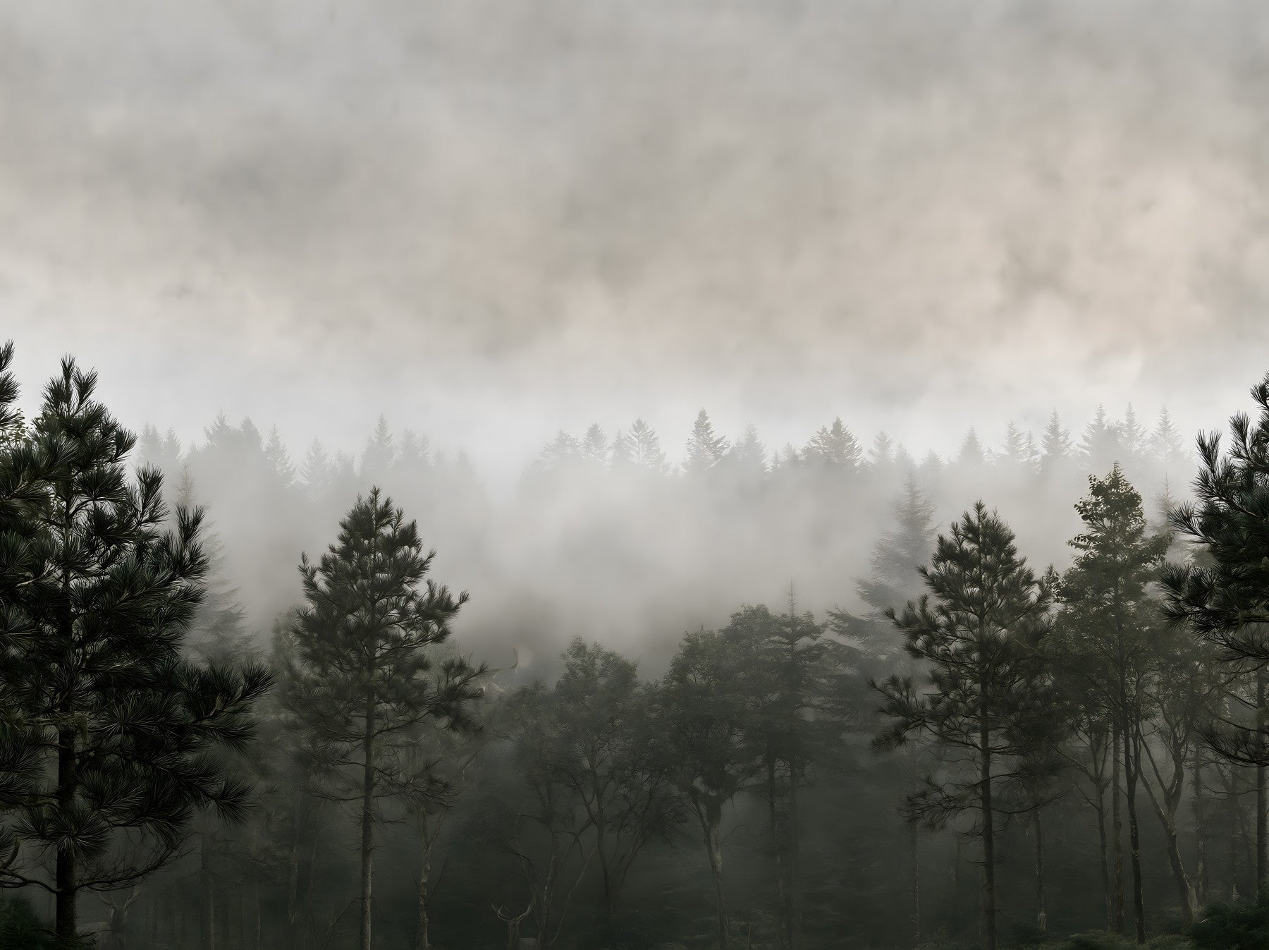 Sylvan Mist Monochrome Scene Wall Mural