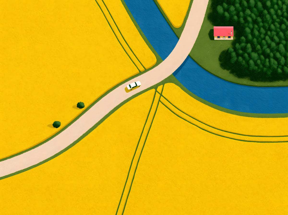 Country Road Through Golden Fields Wall Mural in your room