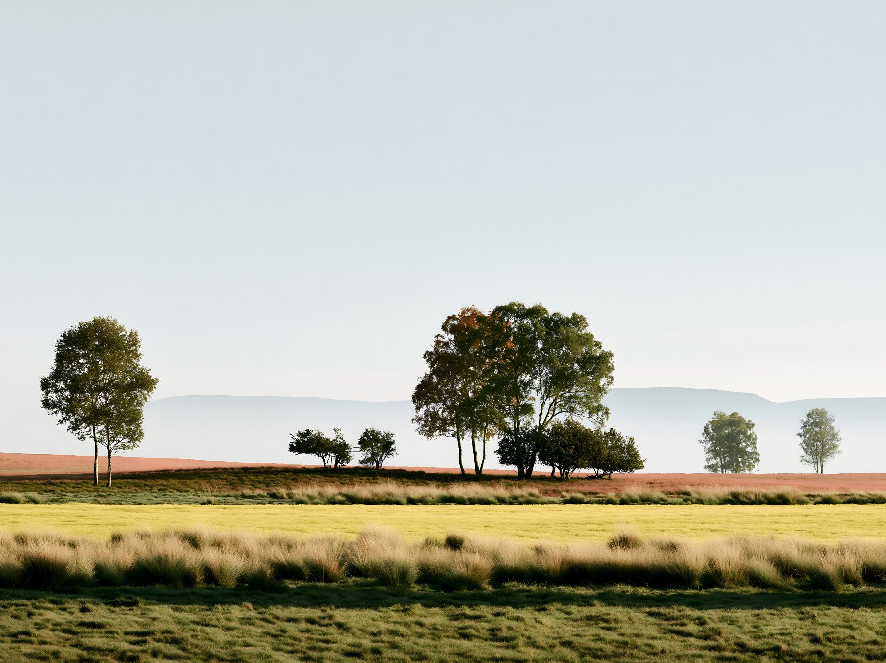 Misty Morning Horizon Landscape Wall Mural