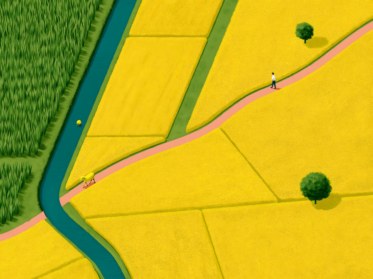 Golden Fields and Winding Stream Landscape Wall Mural in your room