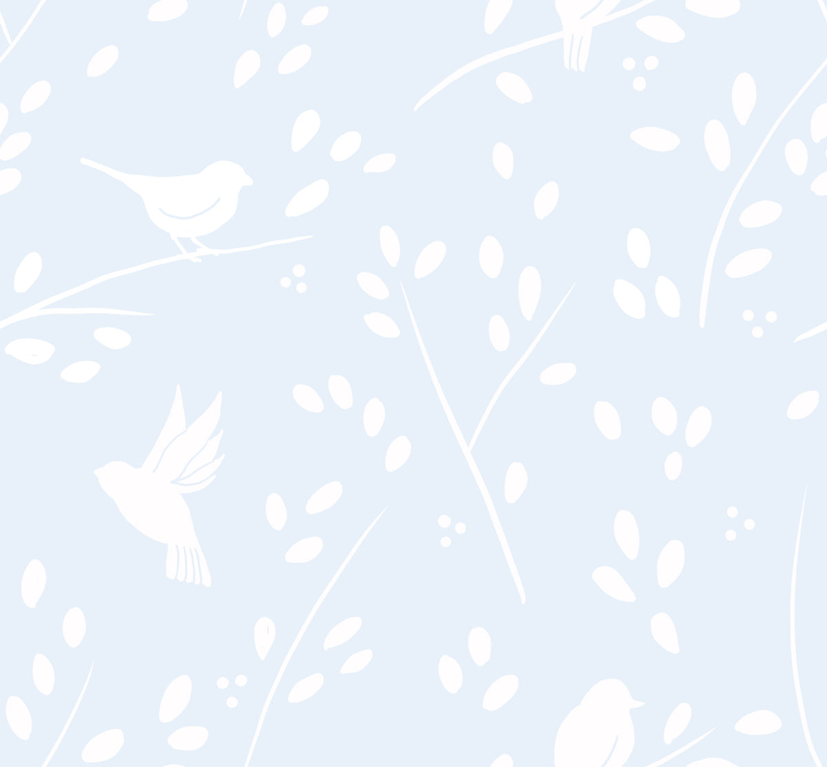 Pastel Blue Winter Birds Wallpaper⁠ in your room