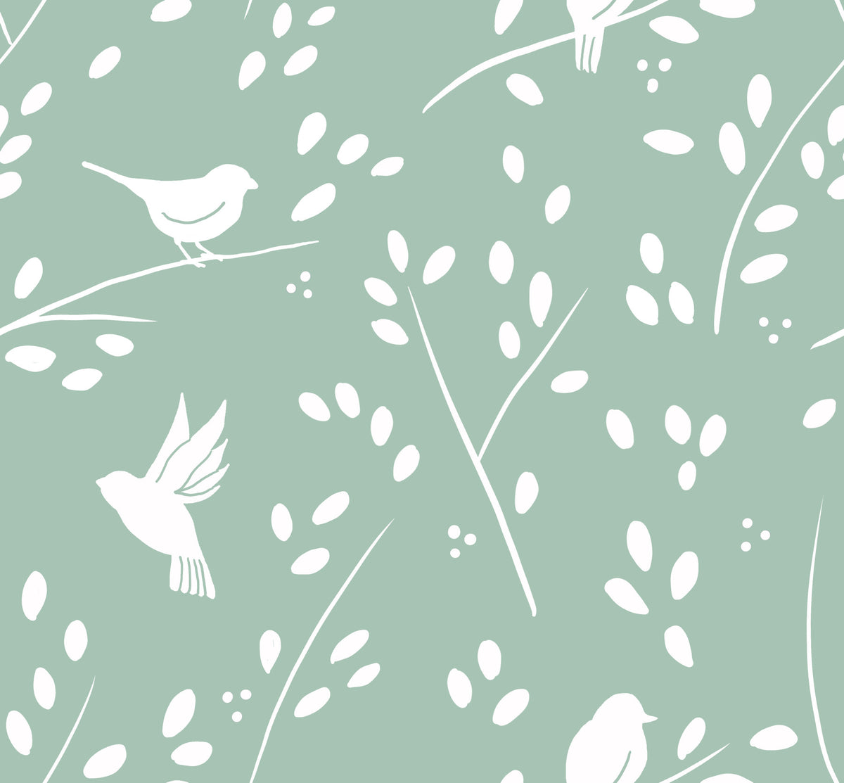 Lush Green Winter Forest Birds Wallpaper⁠ in your room