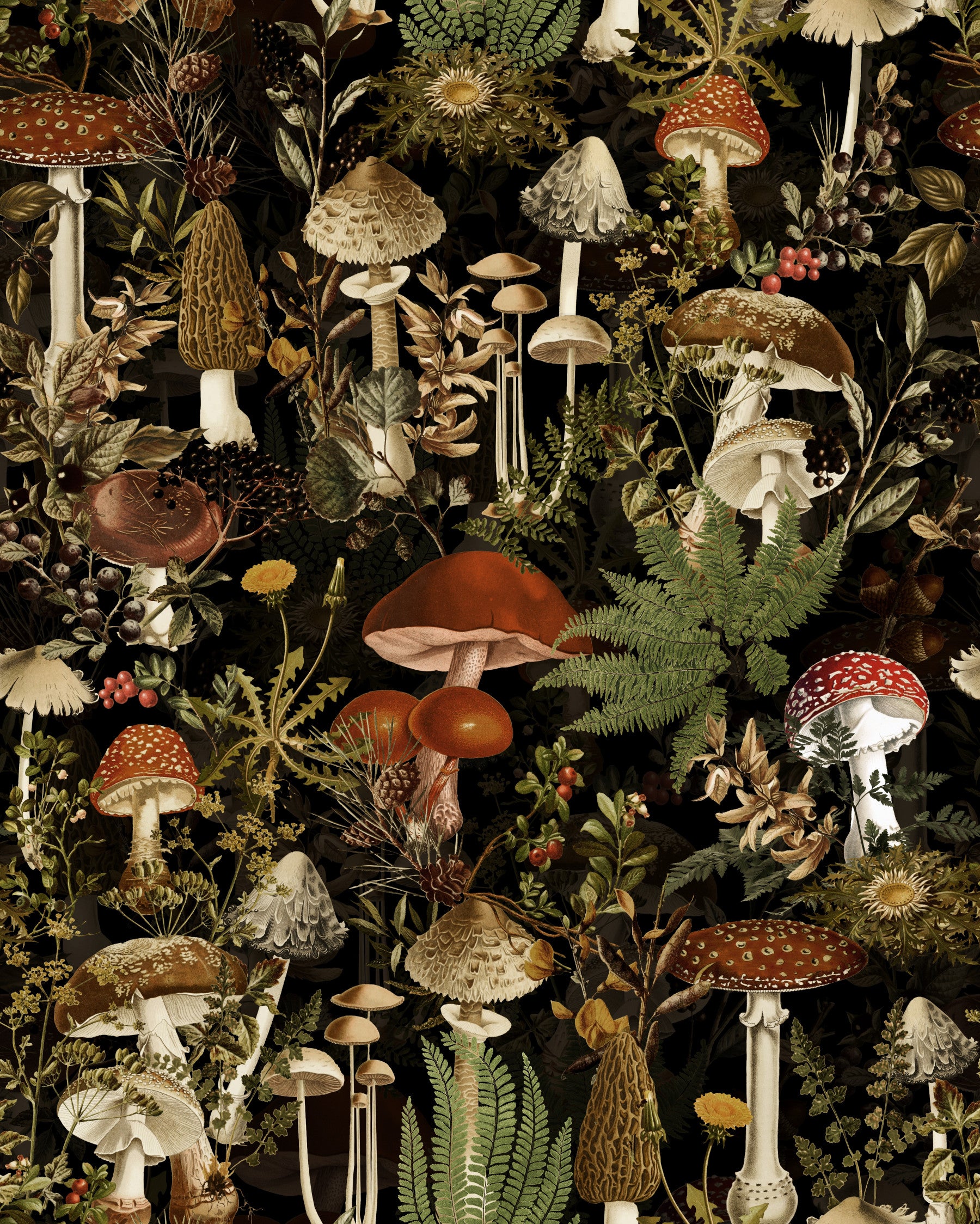 Midnight Forest Mushroom Botanical Wallpaper⁠