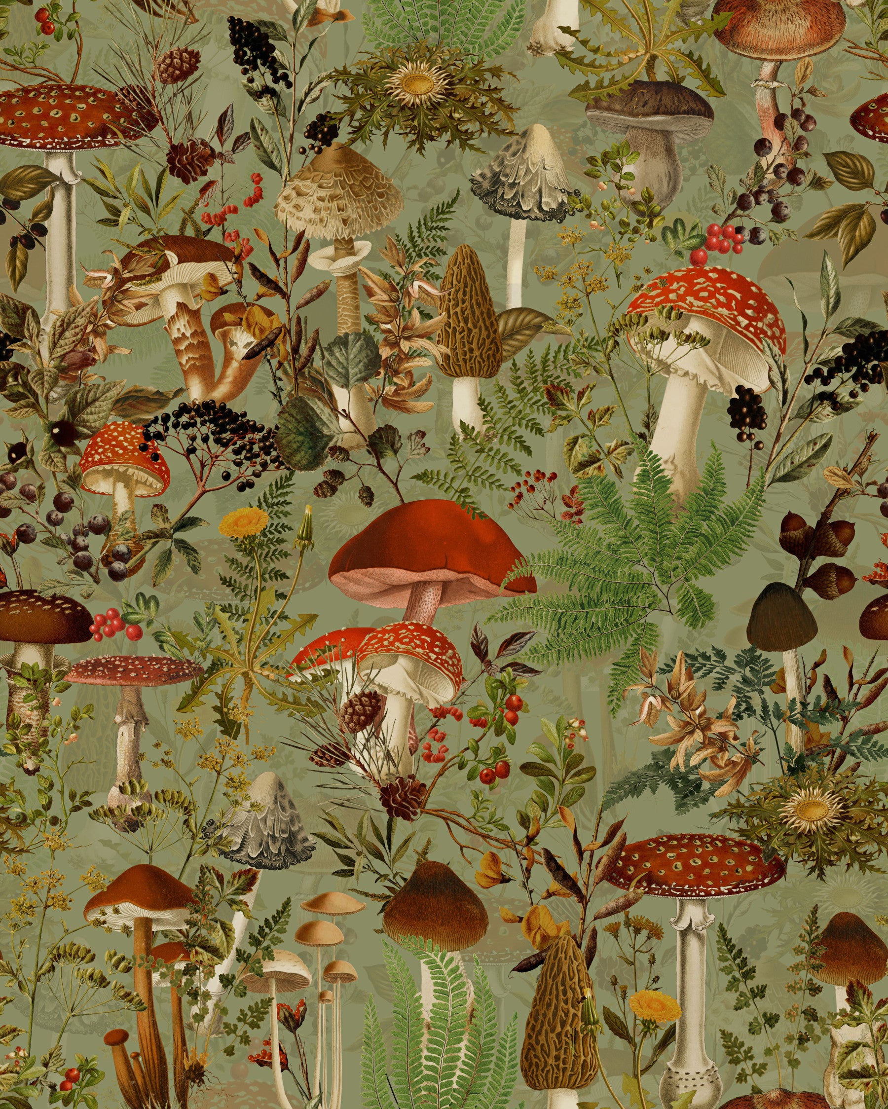 Vintage Woodland Mushroom and Fern Forage Wallpaper⁠