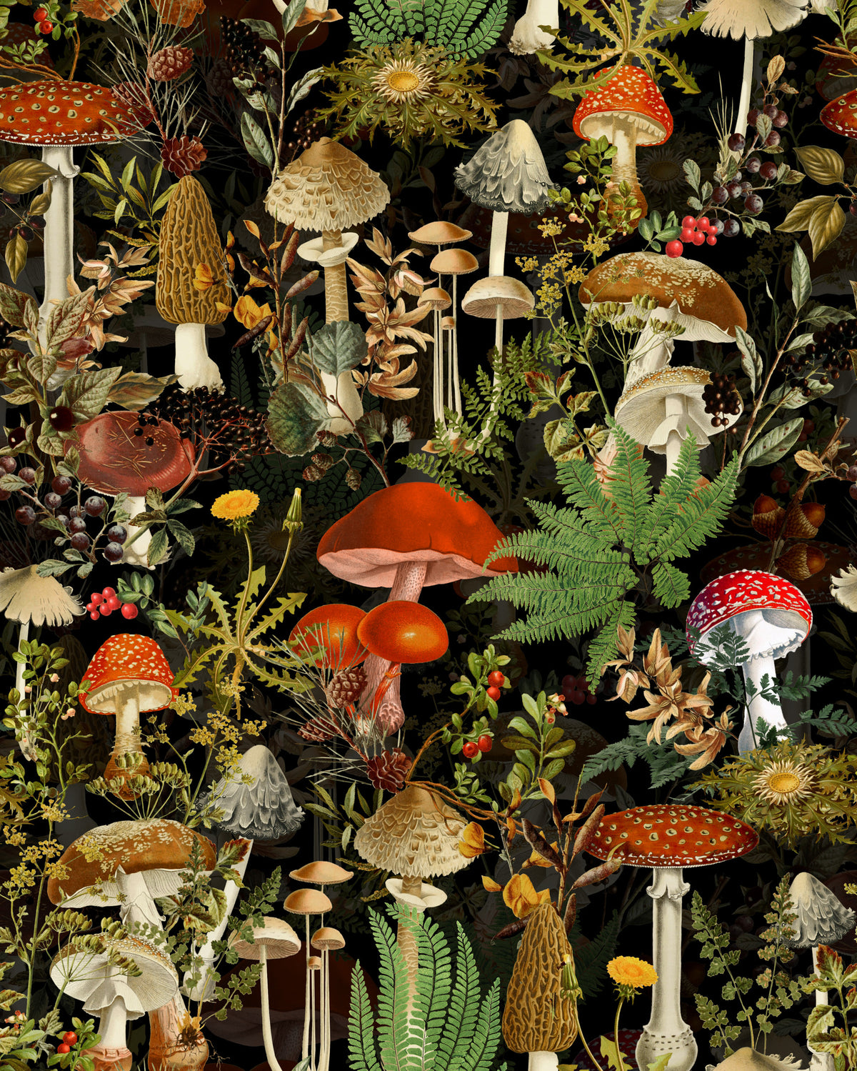 Vintage Woodland Mushroom Harvest Wallpaper⁠ in your room