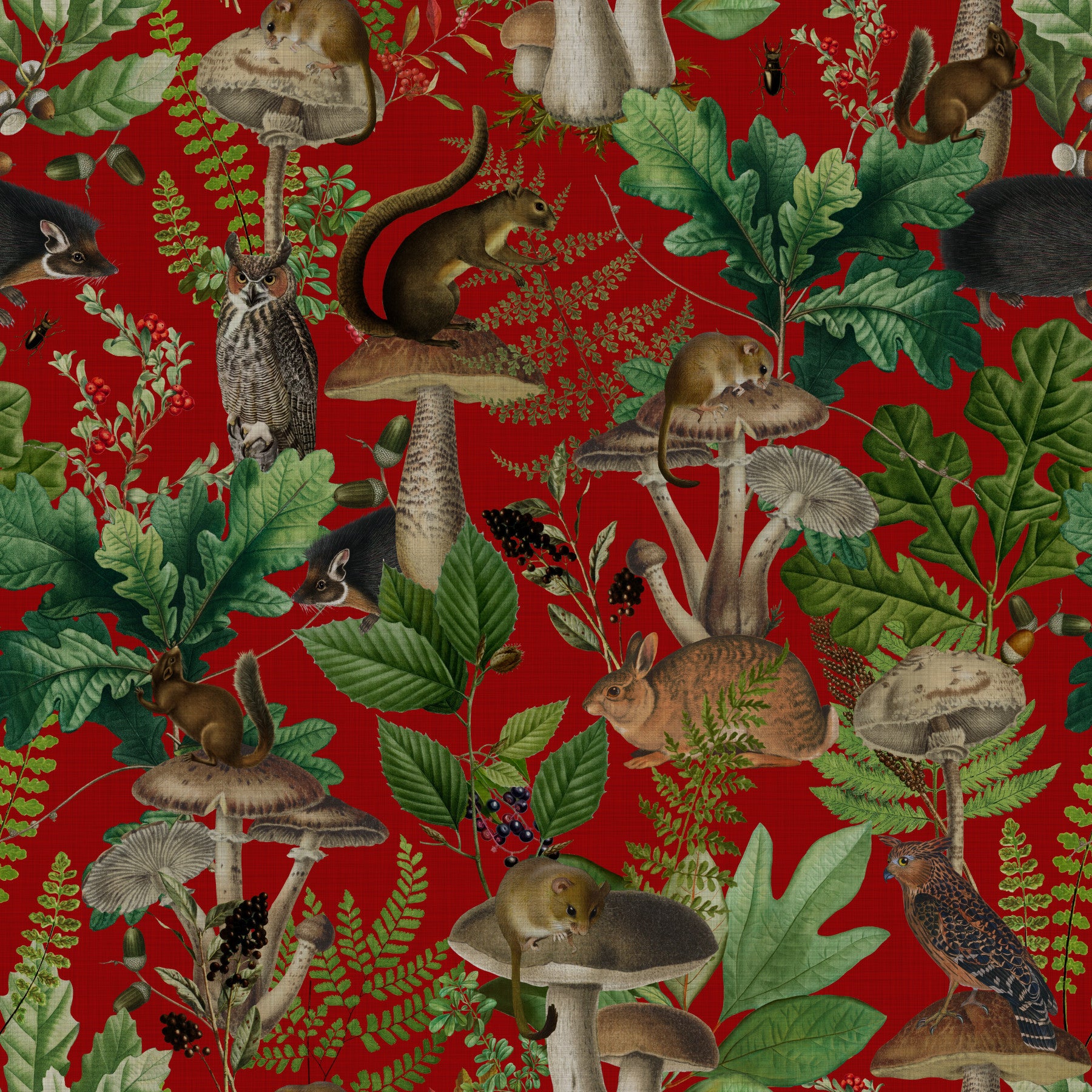 Enchanted Red Woodland Forest Wallpaper⁠
