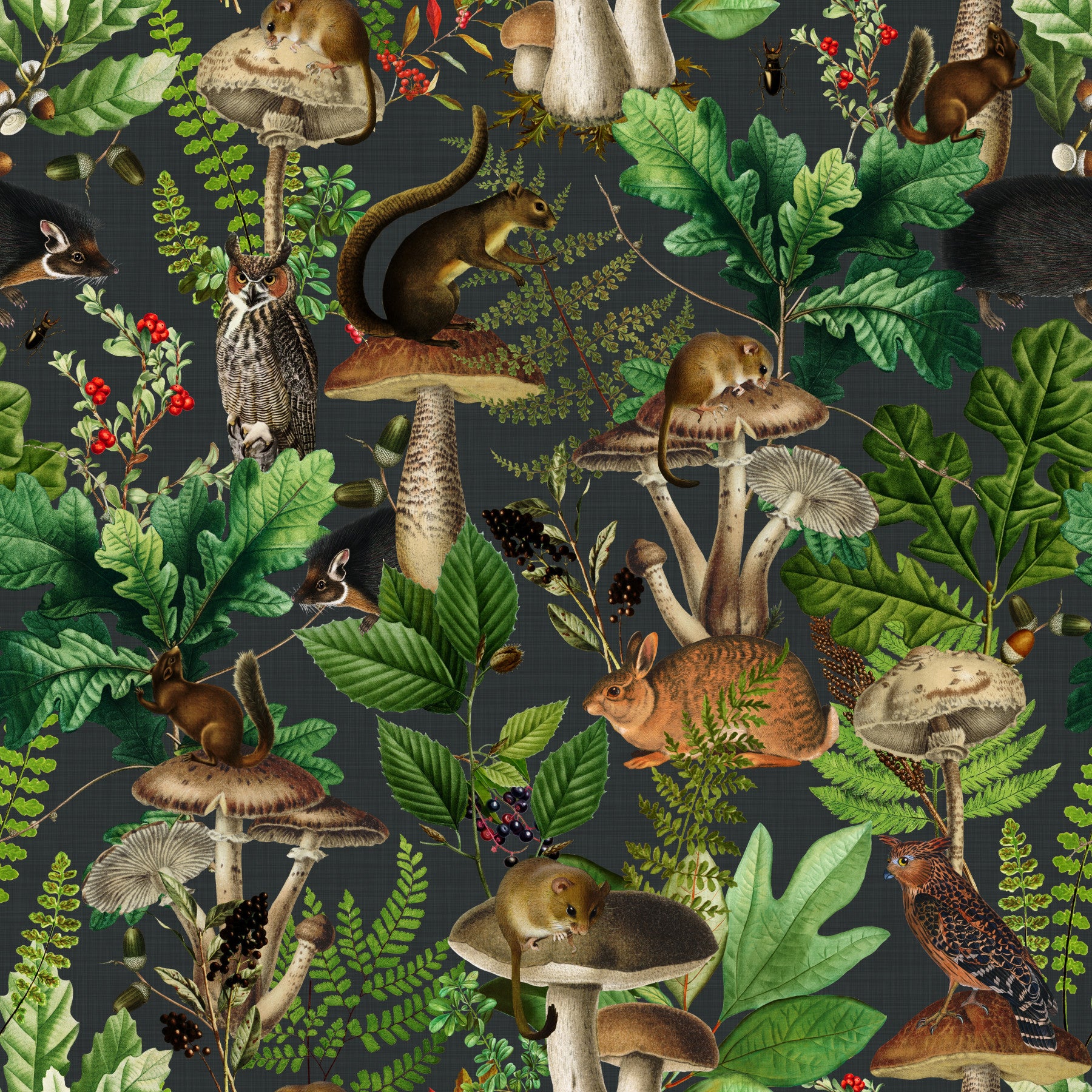 Vintage Forest Creatures and Fungi Wallpaper⁠