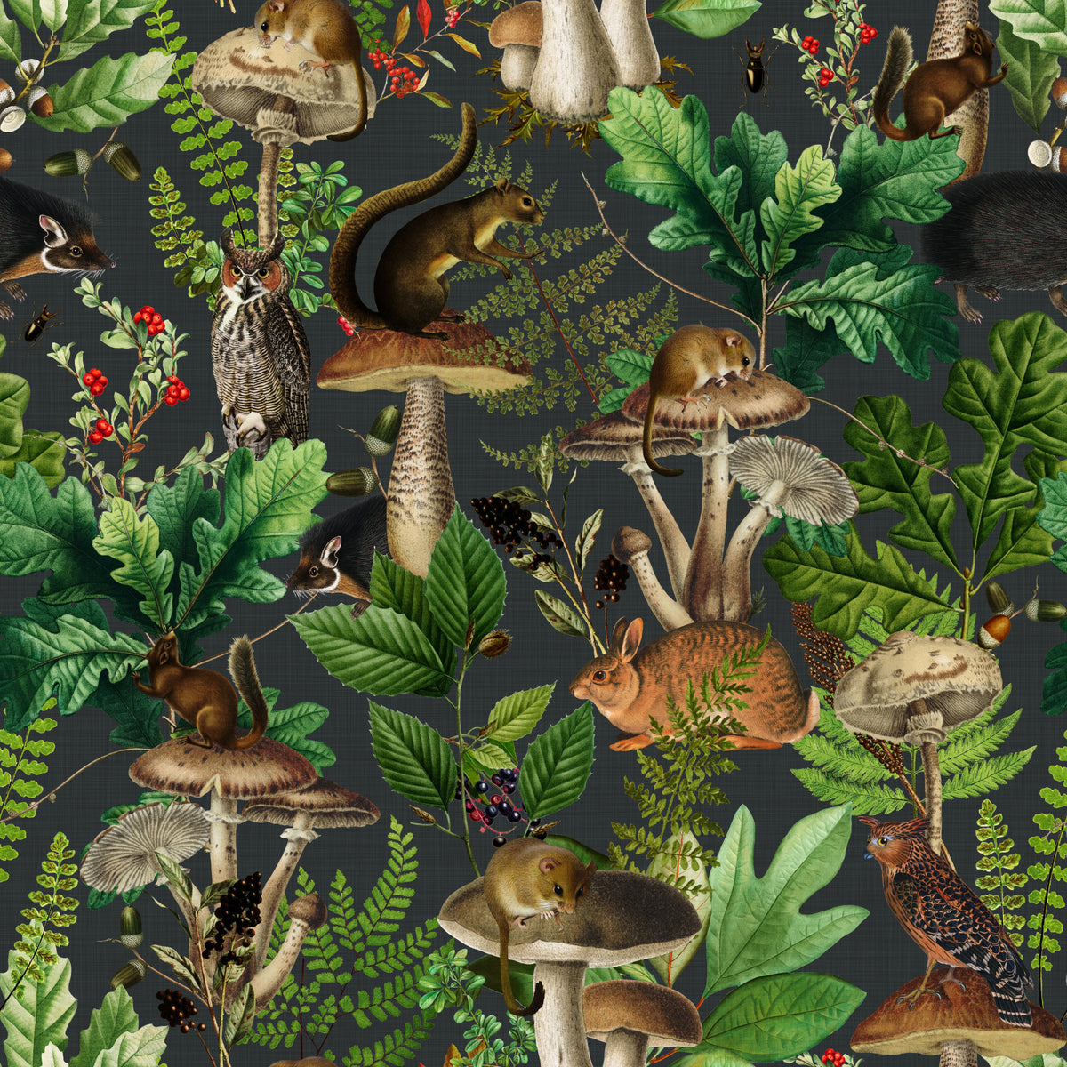 Vintage Forest Creatures and Fungi Wallpaper⁠ in your room