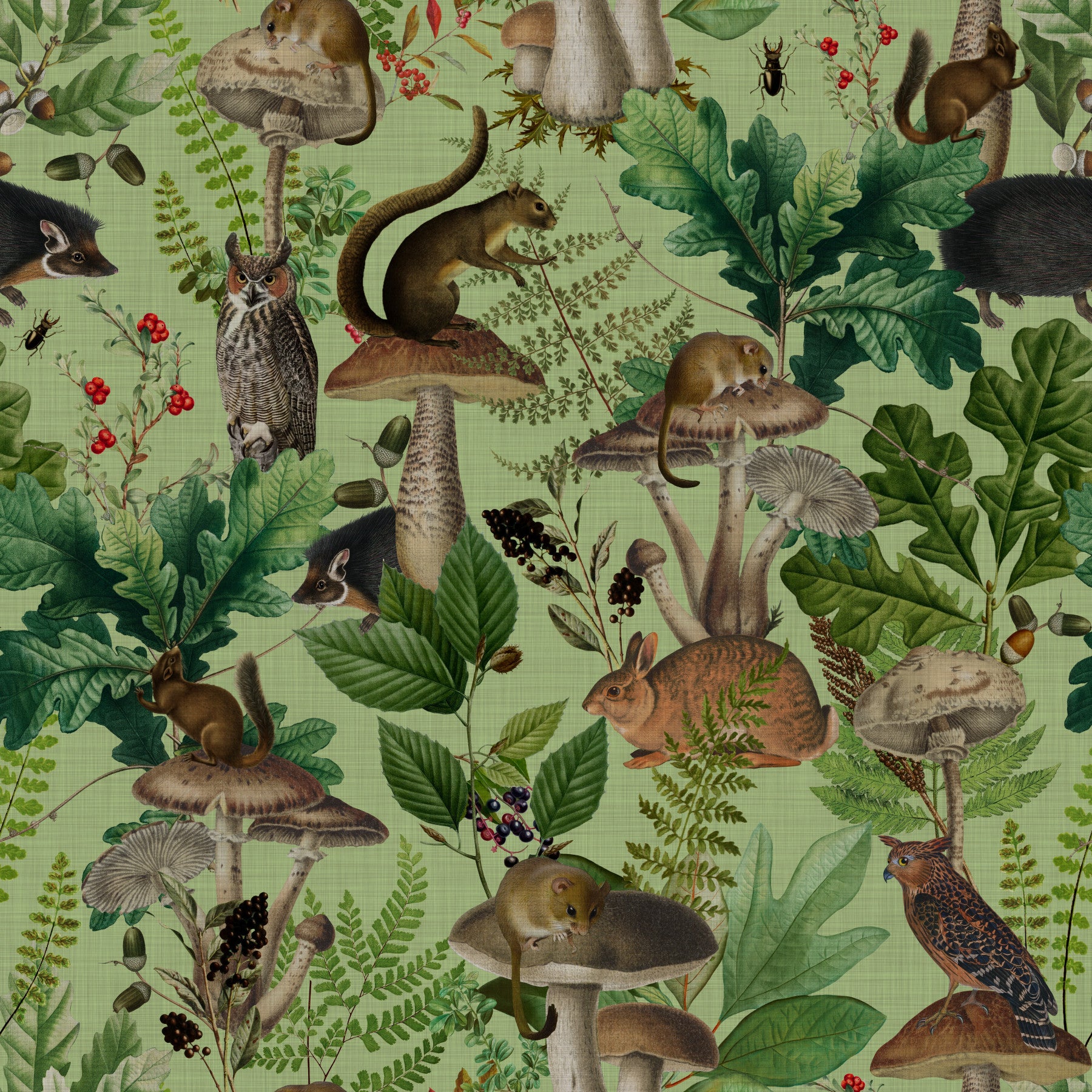 Botanical Woodland Mushroom Grove Wallpaper⁠