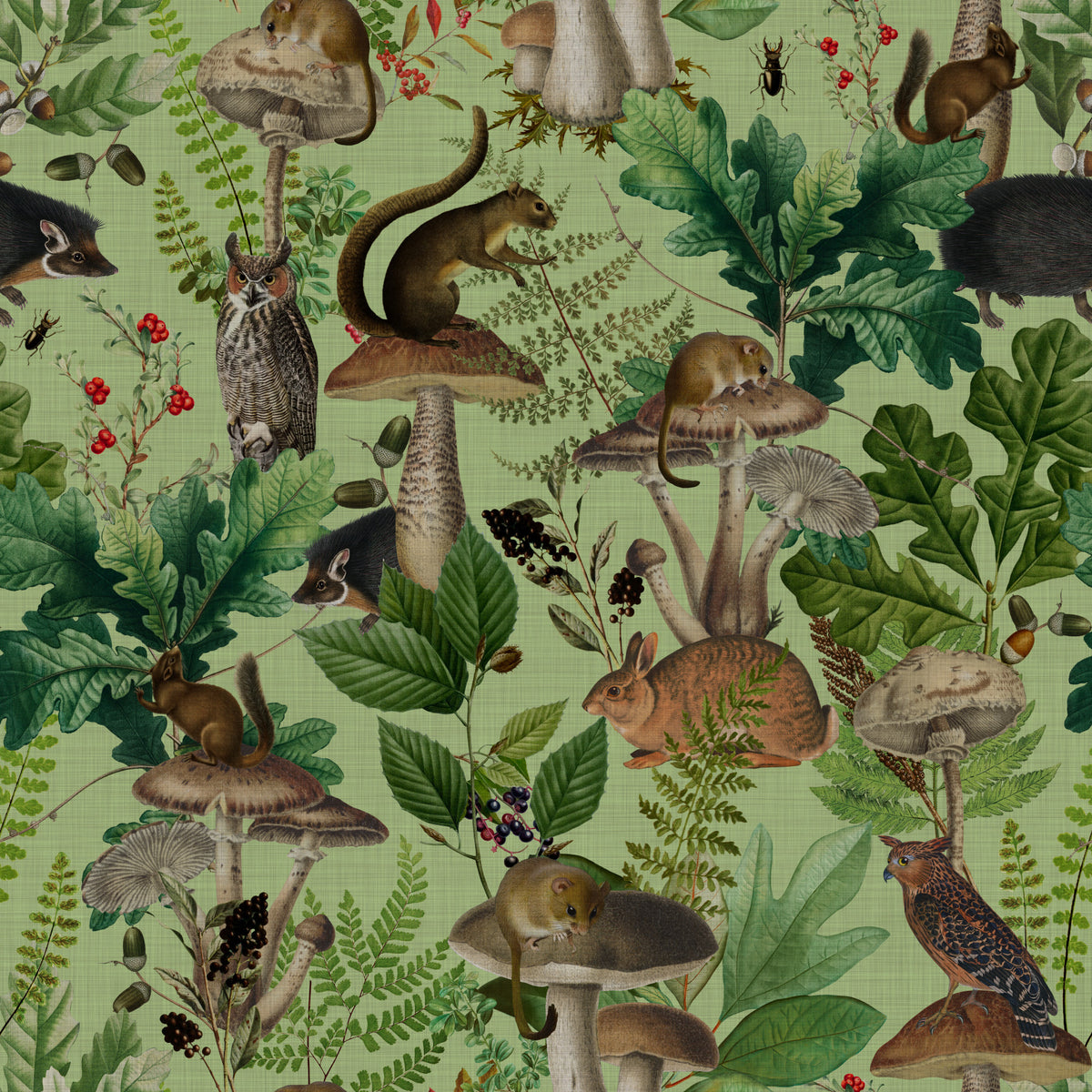Botanical Woodland Mushroom Grove Wallpaper⁠ in your room