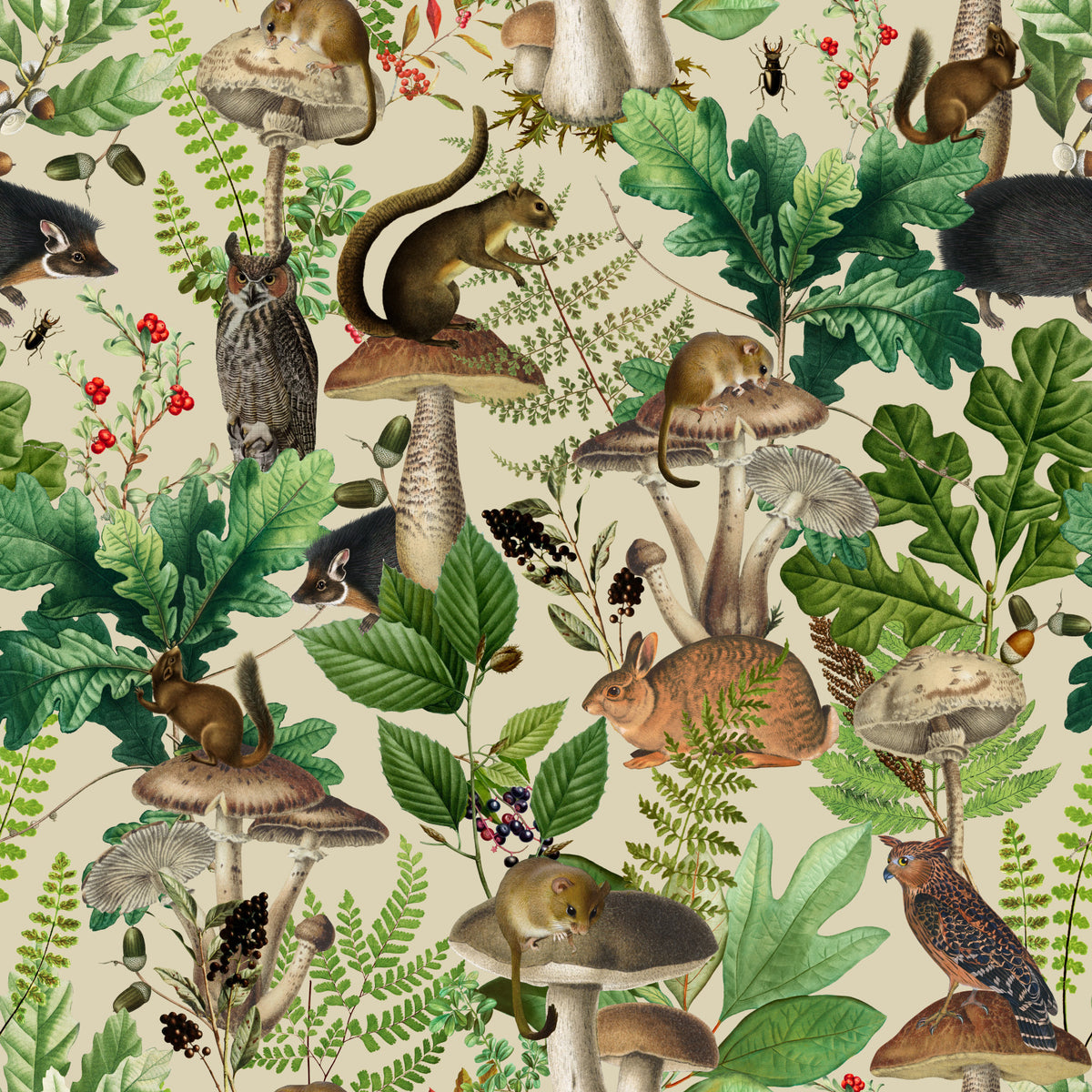 Enchanted Woodland Flora and Fauna Wallpaper⁠ in your room