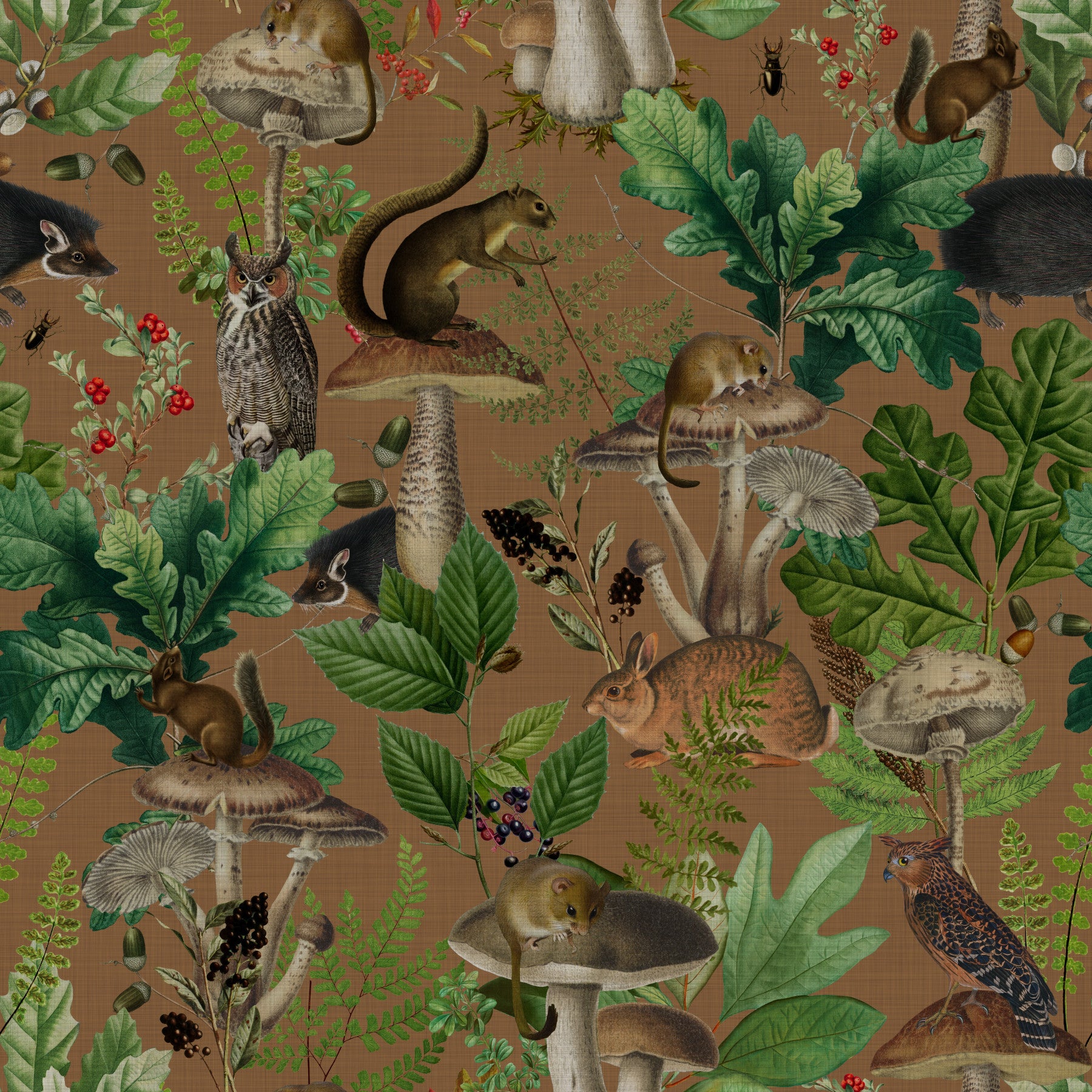 Enchanted Woodland Forest Creatures Wallpaper⁠