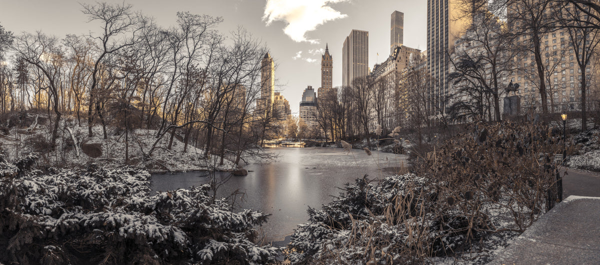 Frozen Urban Sanctuary Wall Mural