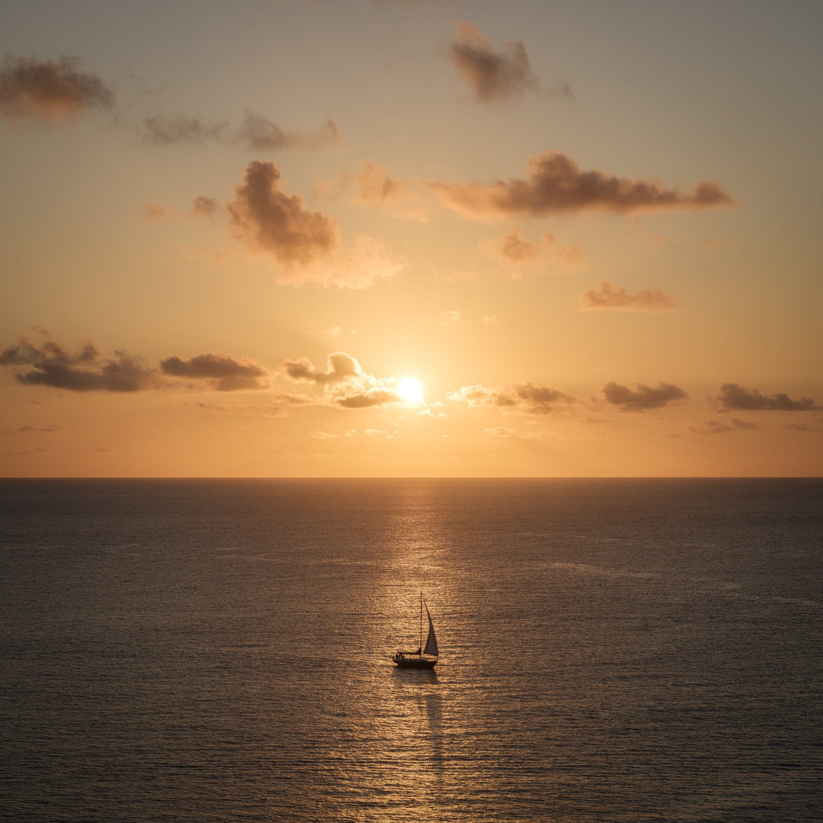 Amber Horizon Maritime View Wall Mural
