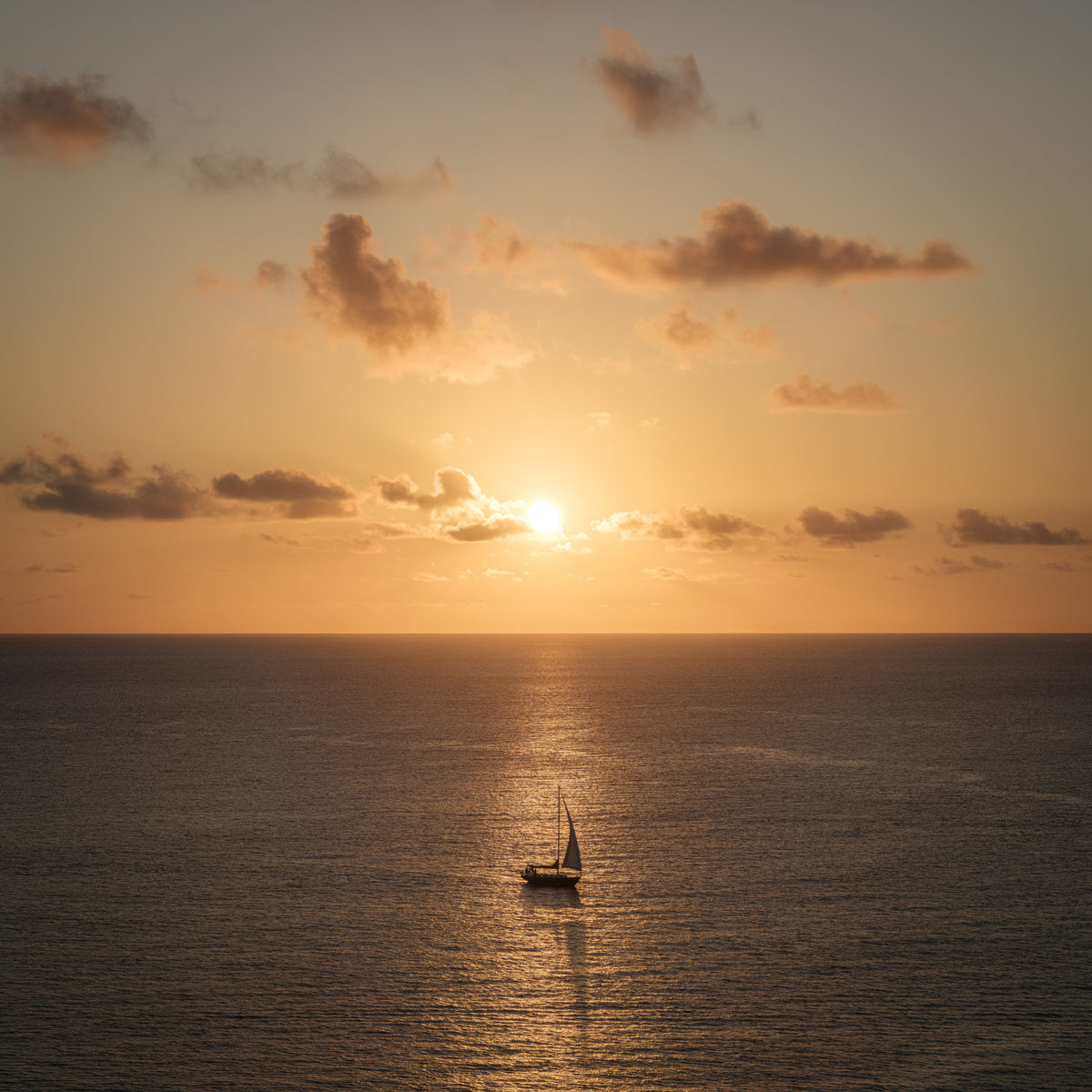 Amber Horizon Maritime View Wall Mural in your room — zoomed
