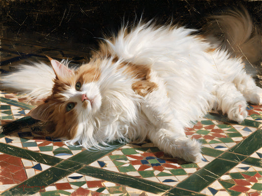 Resting Ginger Longhair on Mosaic Tiles Wall Mural