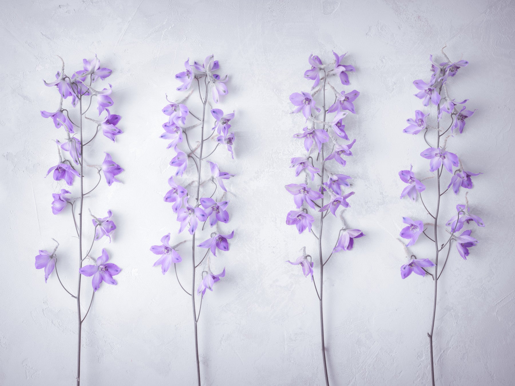 Abstract Lavender Floral Stems Wall Mural