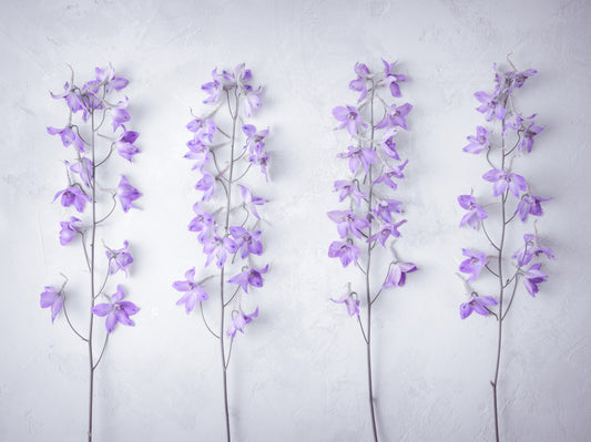 Abstract Lavender Floral Stems Wall Mural