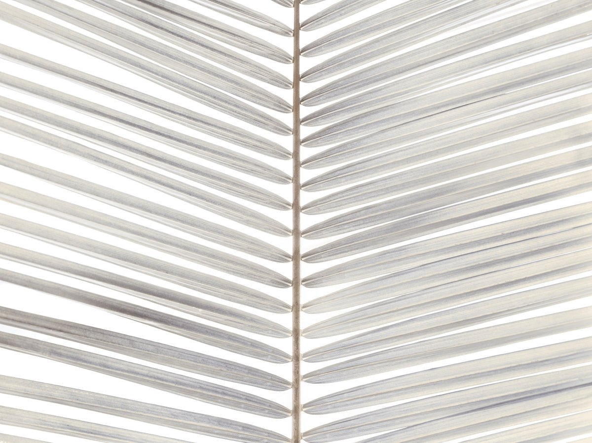 Symmetrical Frond Line Art Wall Mural in your room — zoomed