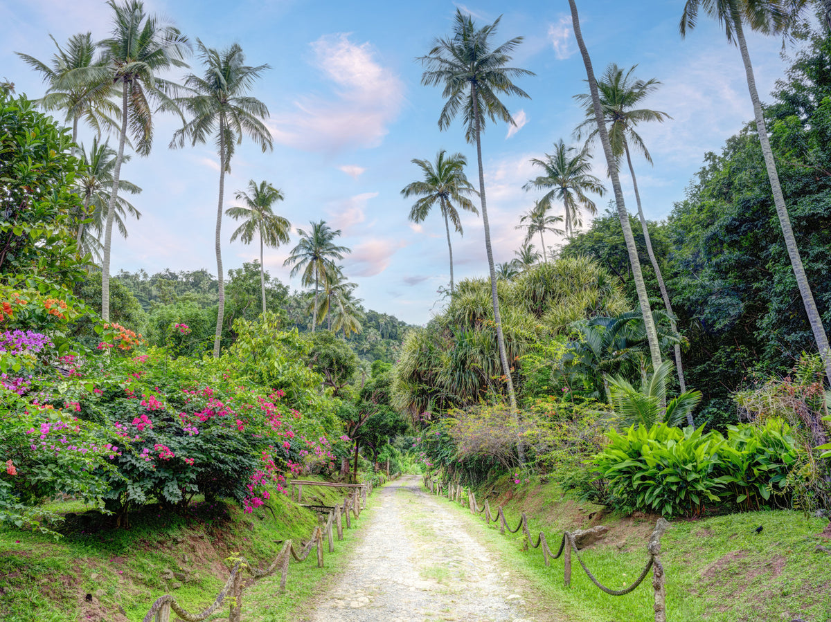Sun-Drenched Garden Trail Wall Mural in your room — zoomed