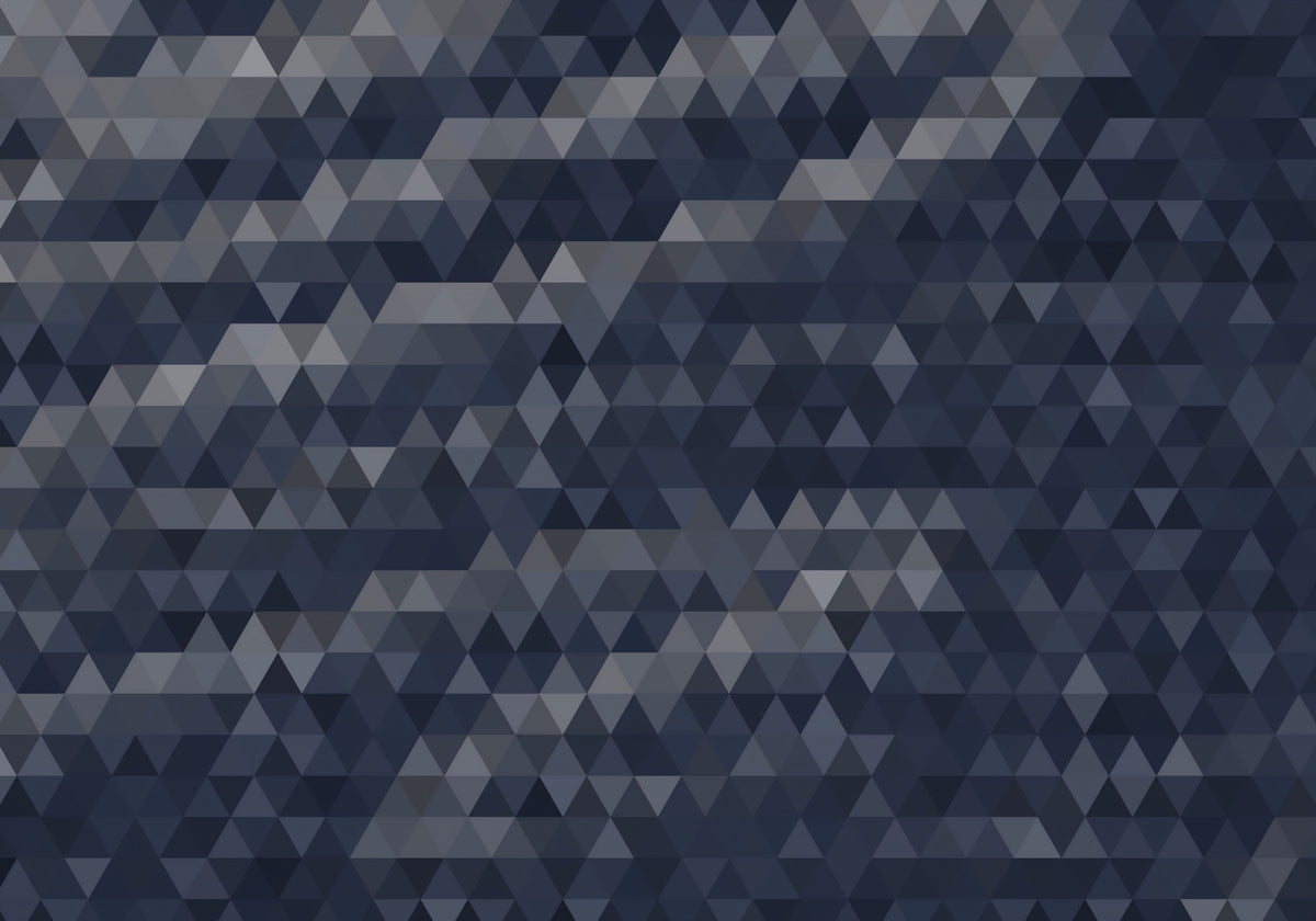 Slate Triangulated Abstract Texture Wall Mural in your room