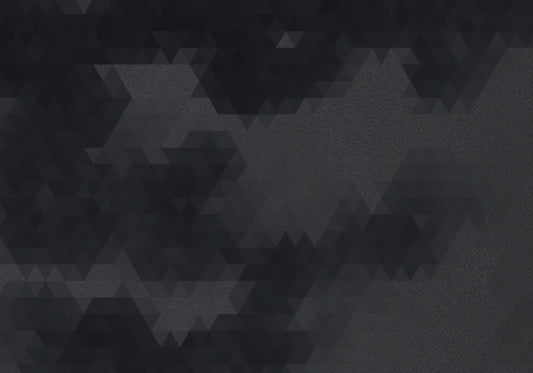 Charcoal Abstract Geometric Shards Wall Mural