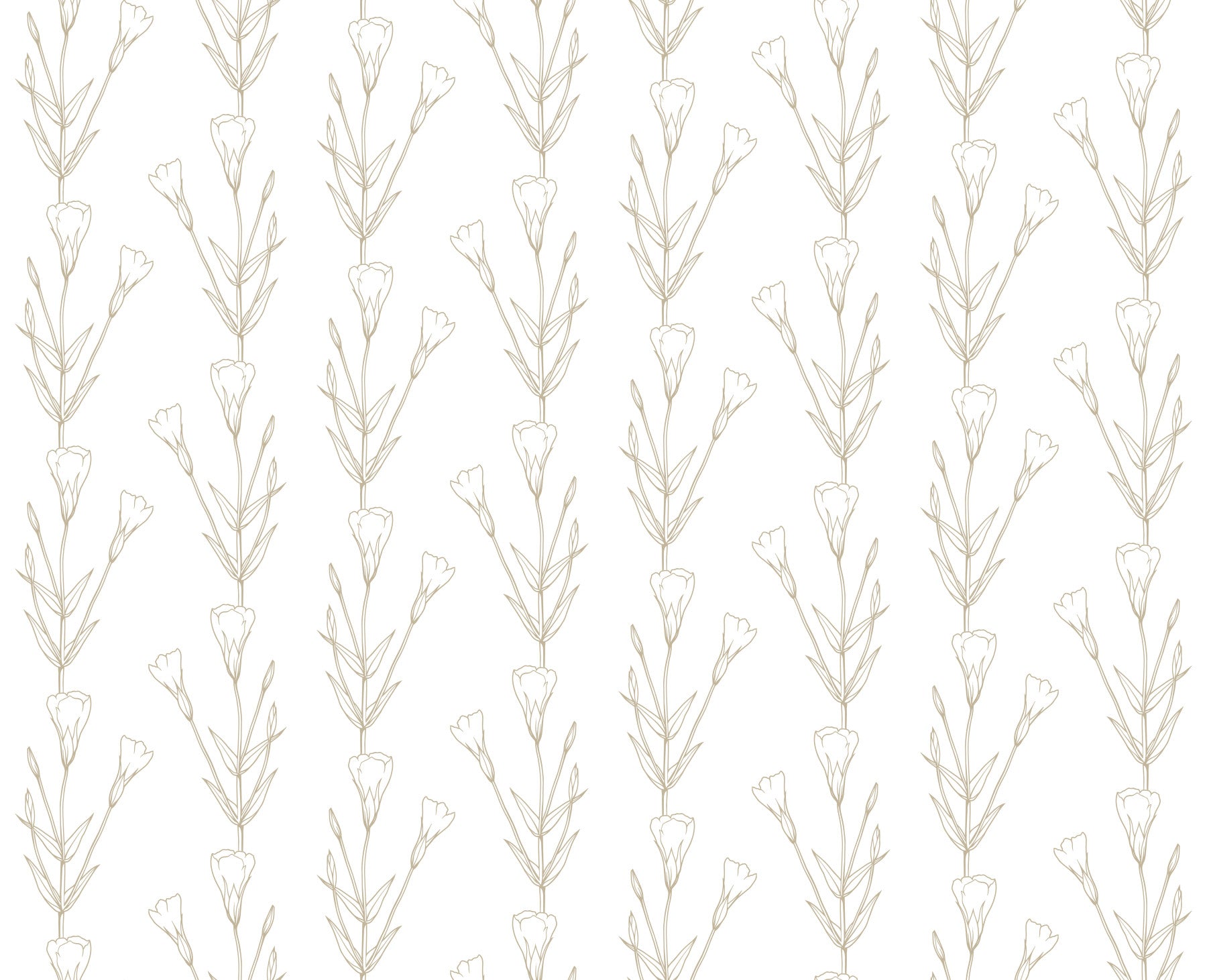 Minimalist Botanical Line Sketch Wallpaper⁠