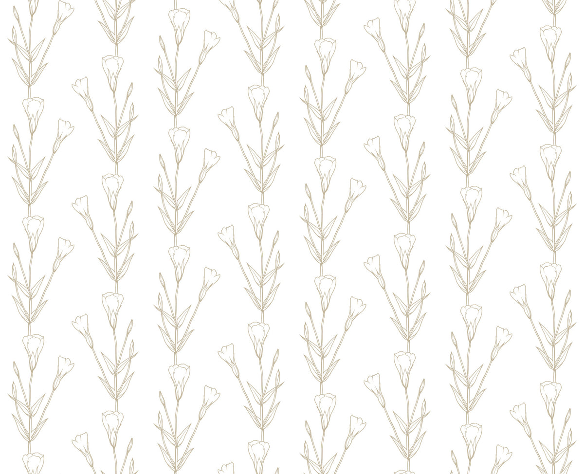 Minimalist Botanical Line Sketch Wallpaper⁠ in your room — zoomed